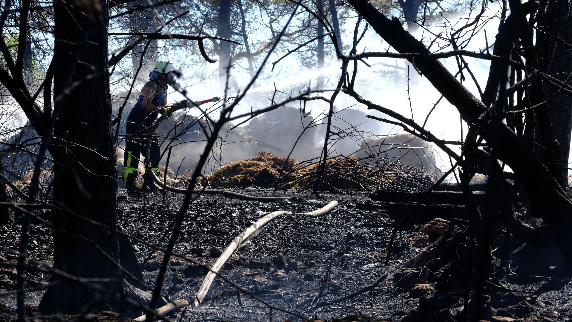 Ein Feuerwehrmann mit Atemschutzausrüstung löscht in einem Wald mit verkohlten Baumstämmen ein Feuer.