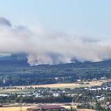 Dichter Rauch eines Waldbrands steigt über dem Hürtgenwald auf