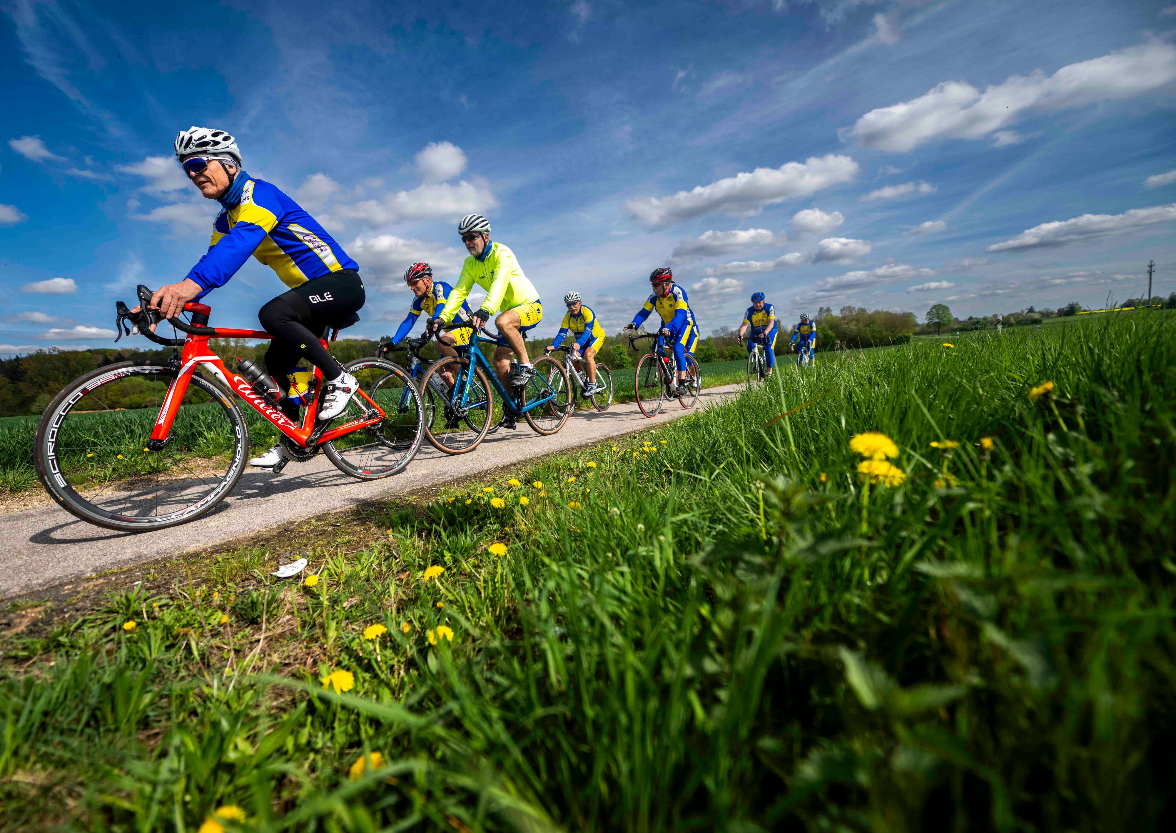 Zahlreiche Fahrradfahrer fahren neben einer Wiese, auf der Blumen blühen.