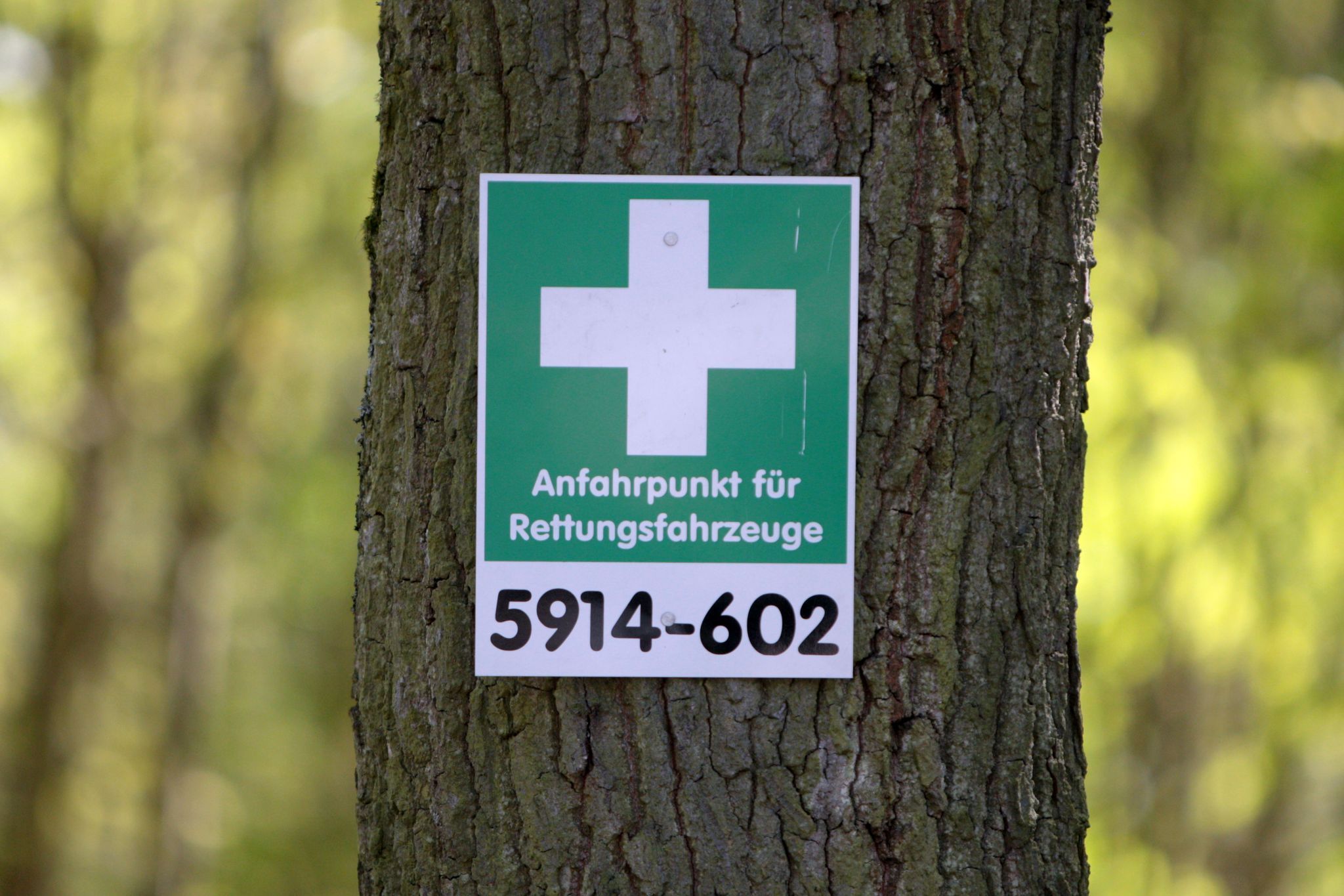 Hilfe-App für Unfälle im Wald