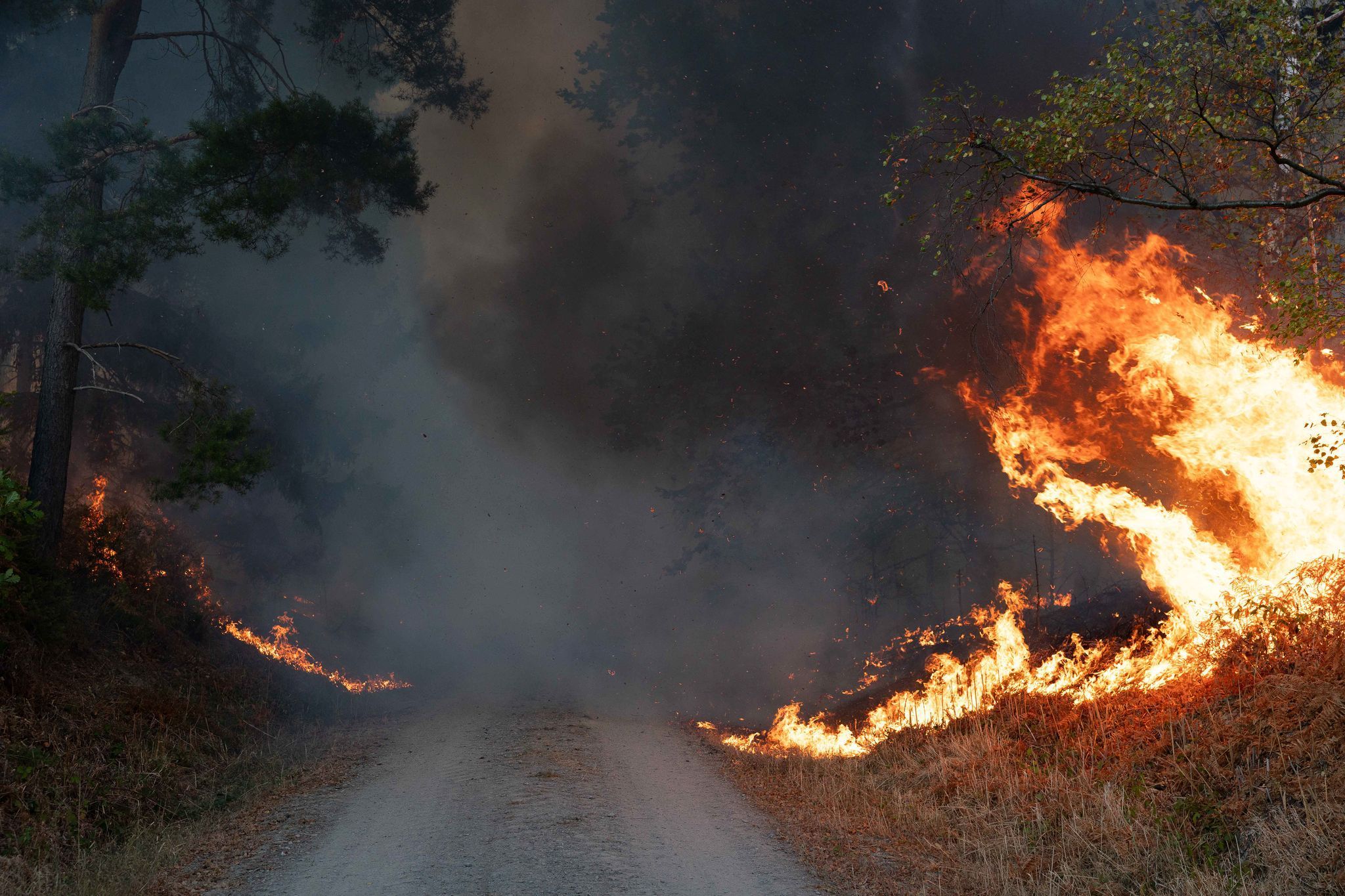 Waldbrand in Hürtgenwald