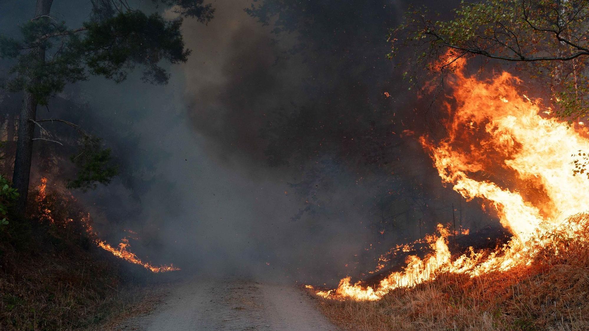 Waldbrand in Hürtgenwald