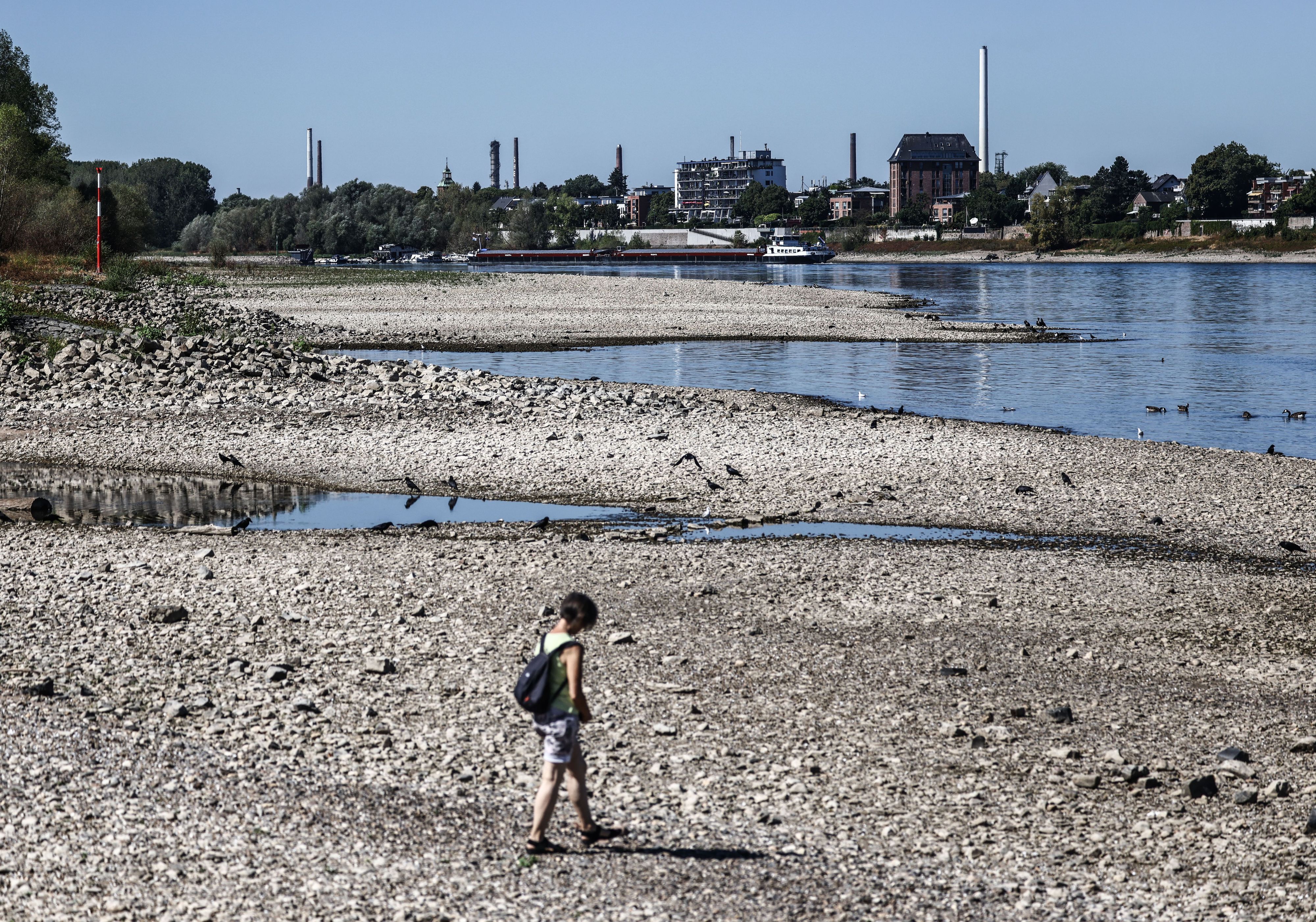 Eine Frau geht am 13. August bei Niedrigwasser am Rheinufer entlang.