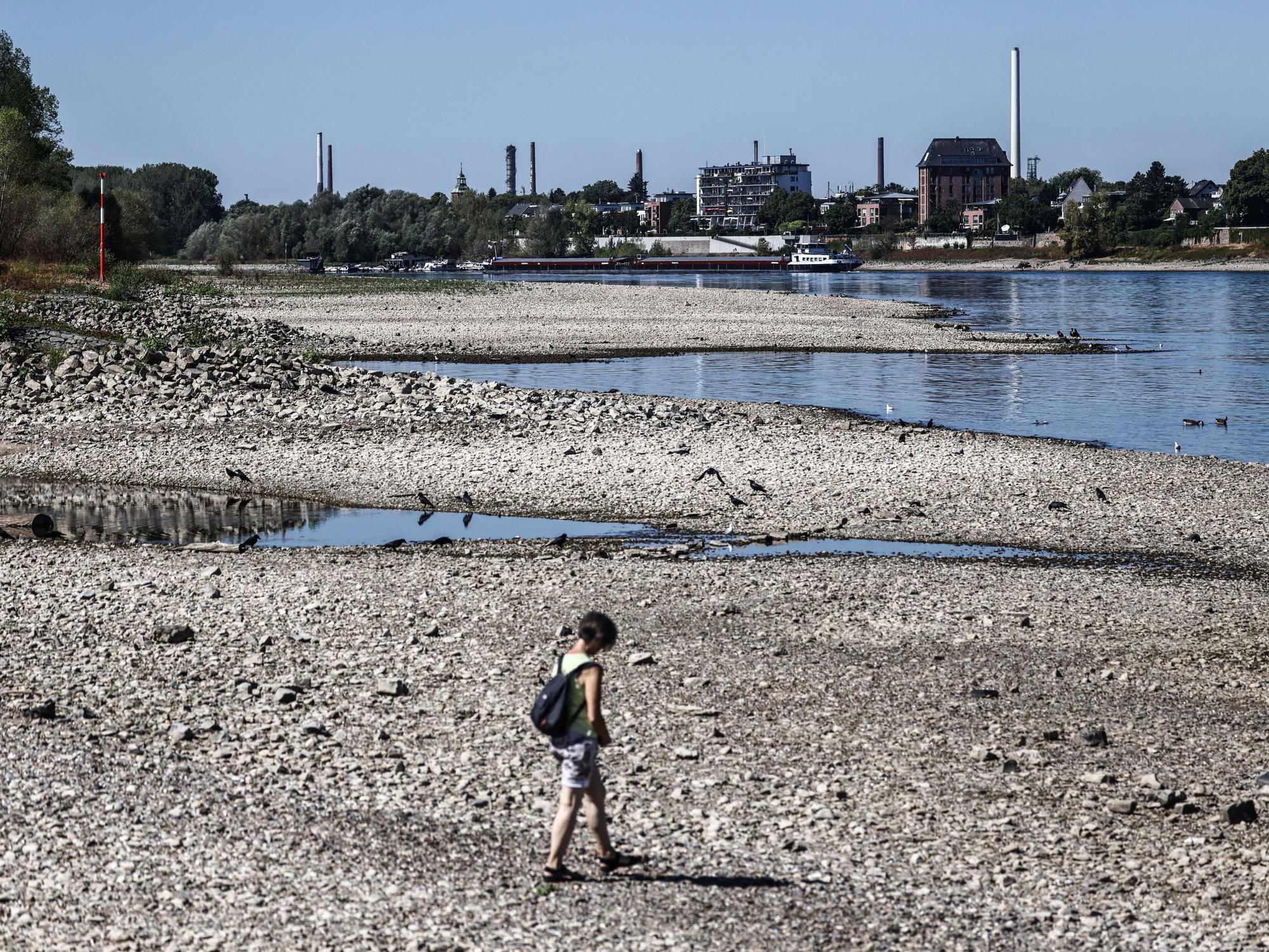 Eine Frau geht am 13. August bei Niedrigwasser am Rheinufer entlang.