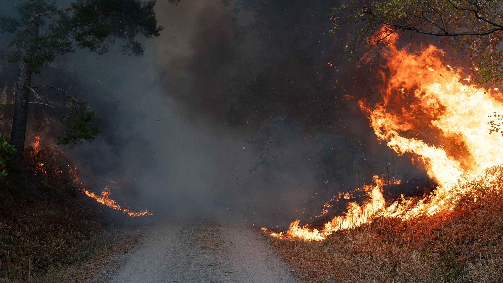 Flammen sind am Rand eines Waldwegs im Hürtgenwald zu sehen.