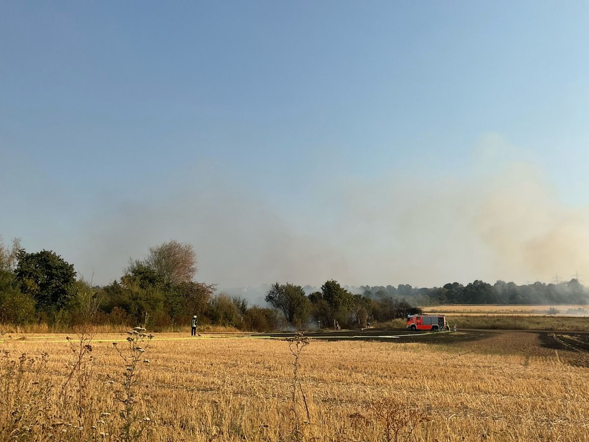Ein von der Feuerwehr gelöschtes Feld in Bonn-Dransdorf.