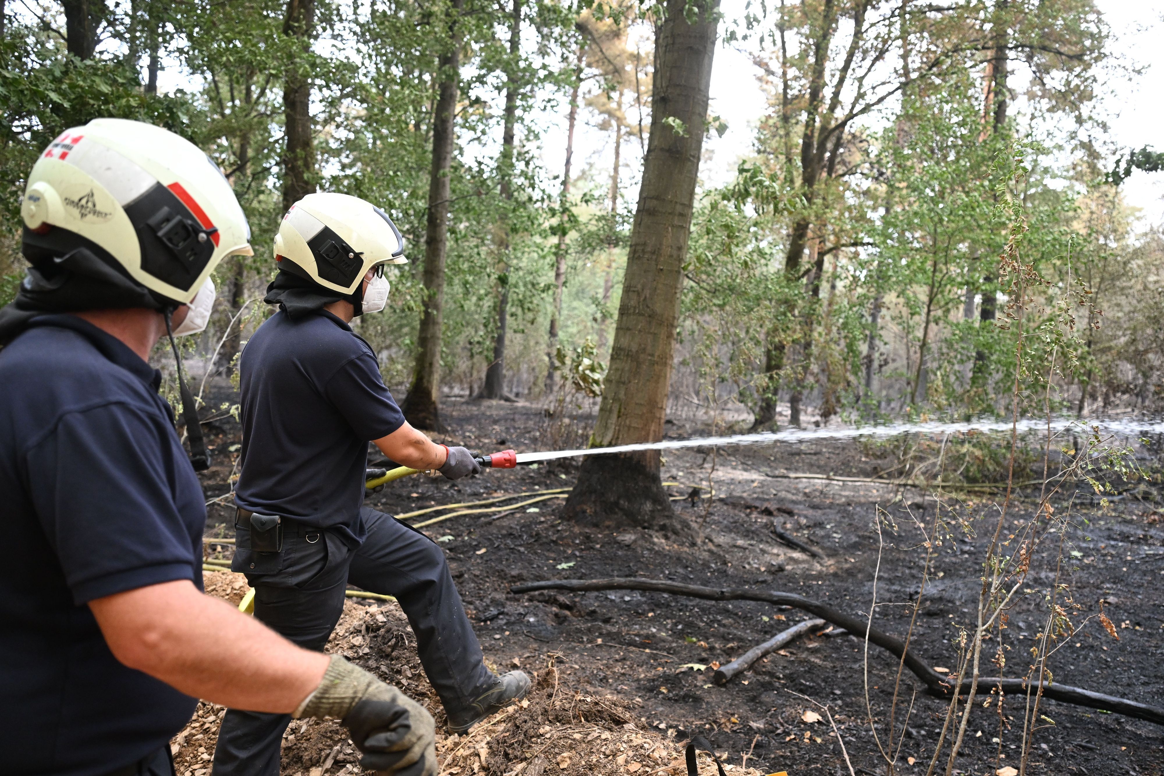 Die Feuerwehr ist beim Waldbrand im Hürtgenwald im Einsatz. Mehrere Hundert Hektar Waldfläche stehen in Flammen.