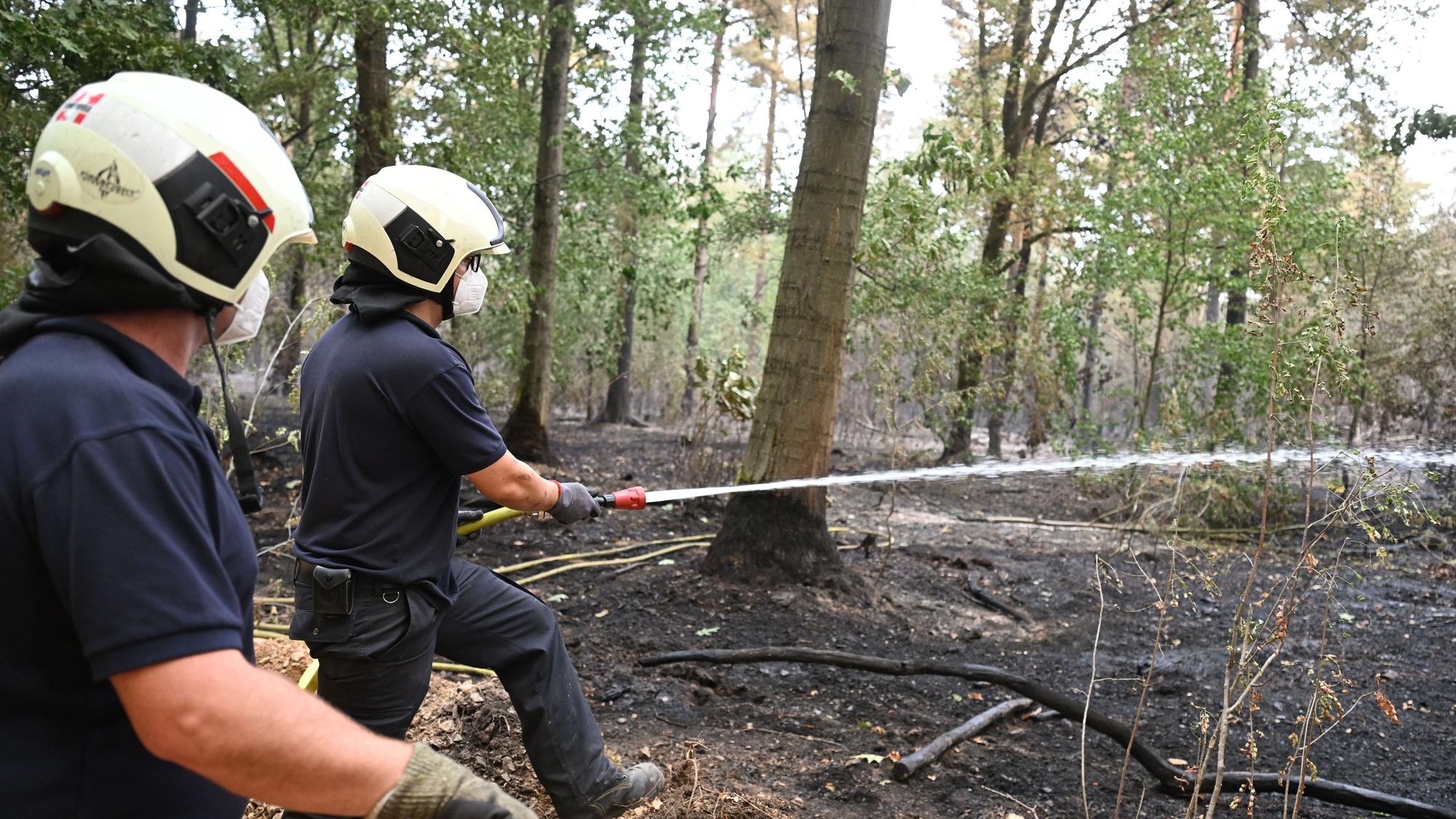 Die Feuerwehr ist beim Waldbrand im Hürtgenwald im Einsatz. Mehrere Hundert Hektar Waldfläche stehen in Flammen.