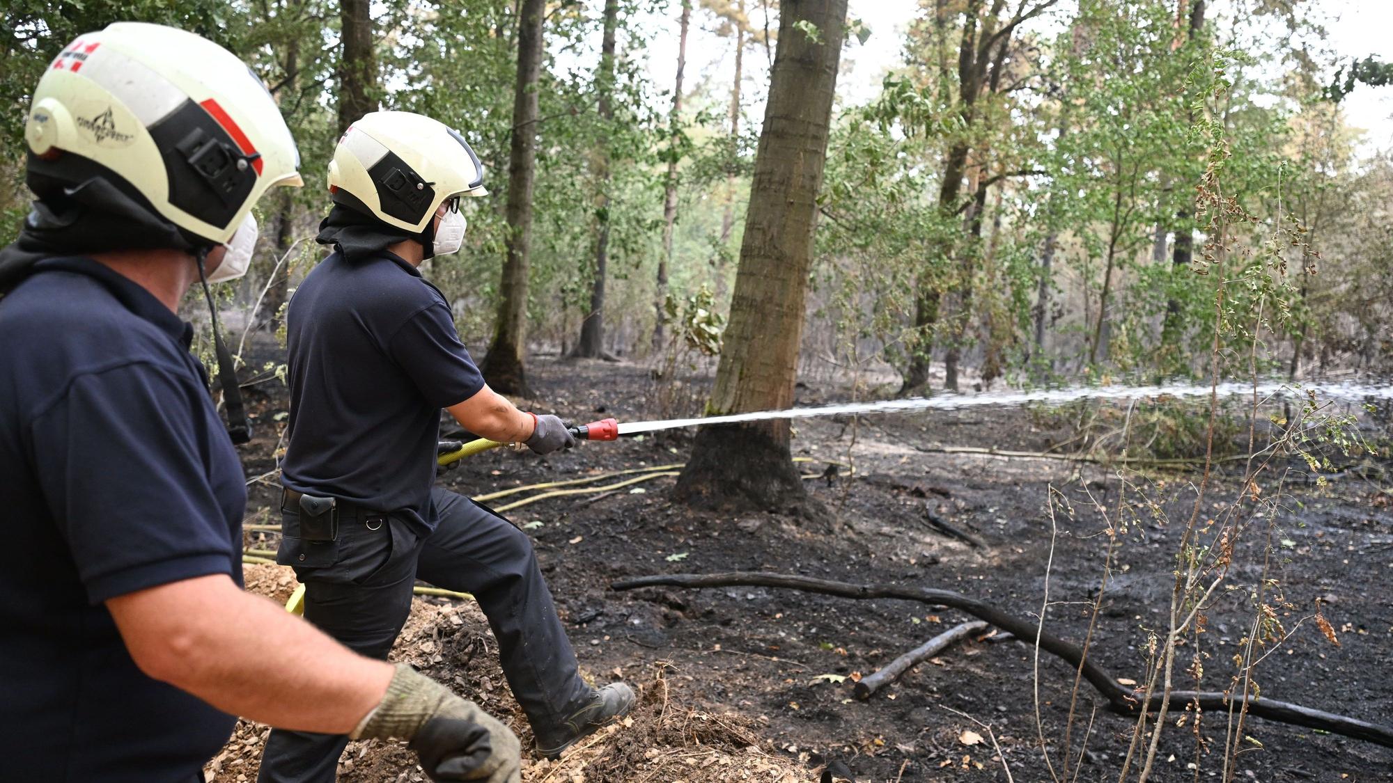 Die Feuerwehr ist beim Waldbrand im Hürtgenwald im Einsatz. Mehrere Hundert Hektar Waldfläche stehen in Flammen.