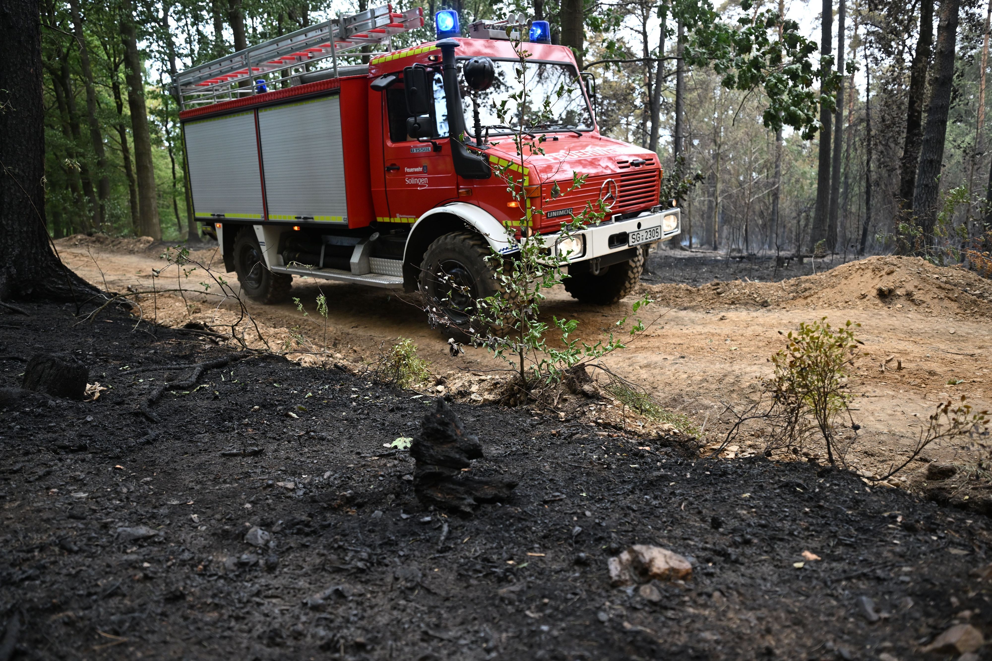 Die Feuerwehr ist beim Waldbrand im Hürtgenwald im Einsatz.