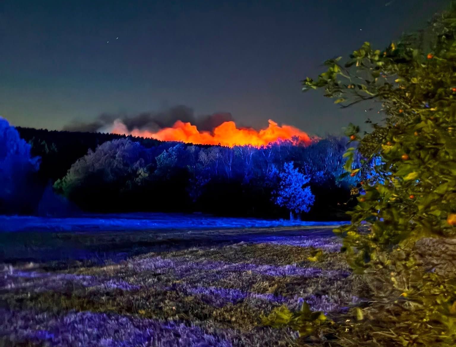 Auf dem Foto der Feuerwehr Erftstadt ist das Ausmaß der Brände in Hürtgenwald zu erkennen.