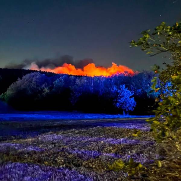 Auf dem Foto der Feuerwehr Erftstadt ist das Ausmaß der Brände in Hürtgenwald zu erkennen.