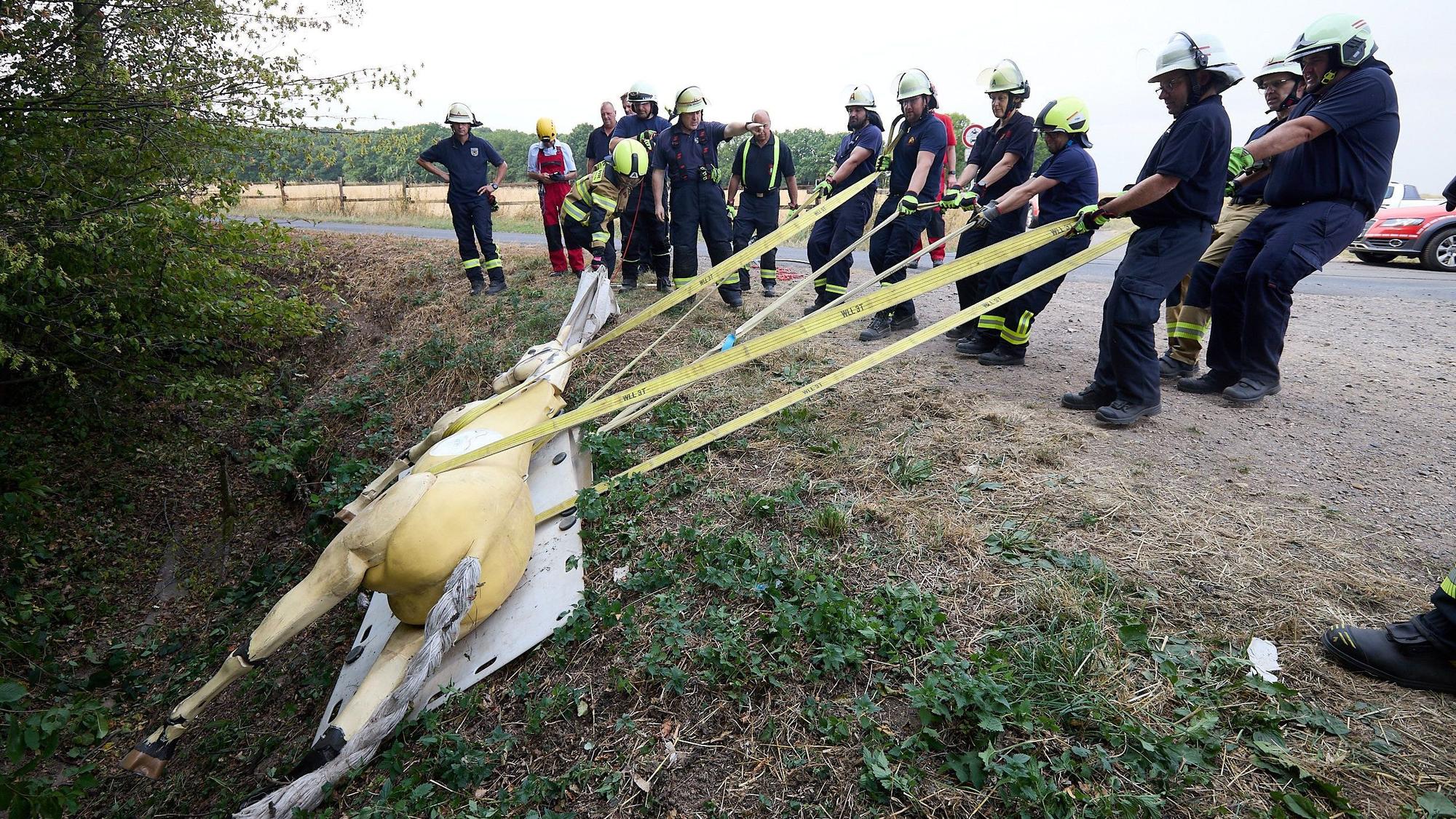 Feuerwehrleute ziehen den Pferdedummy aus einem Graben.