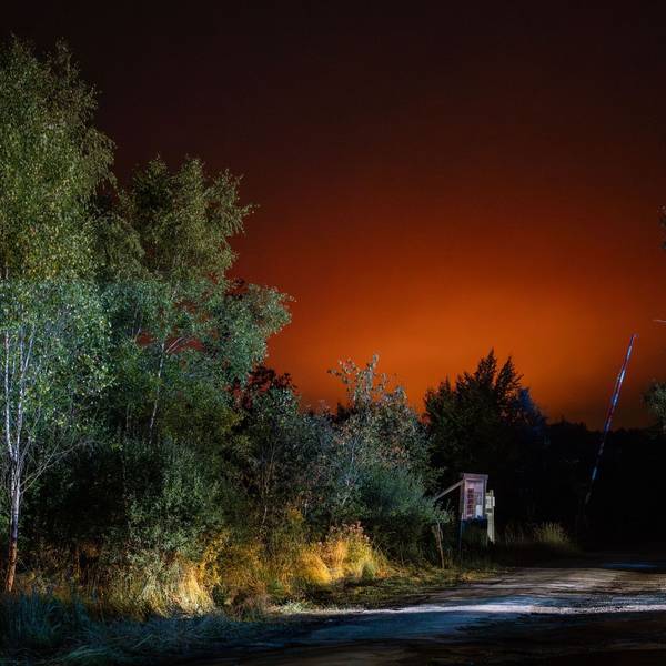 Waldbrand in Belgien