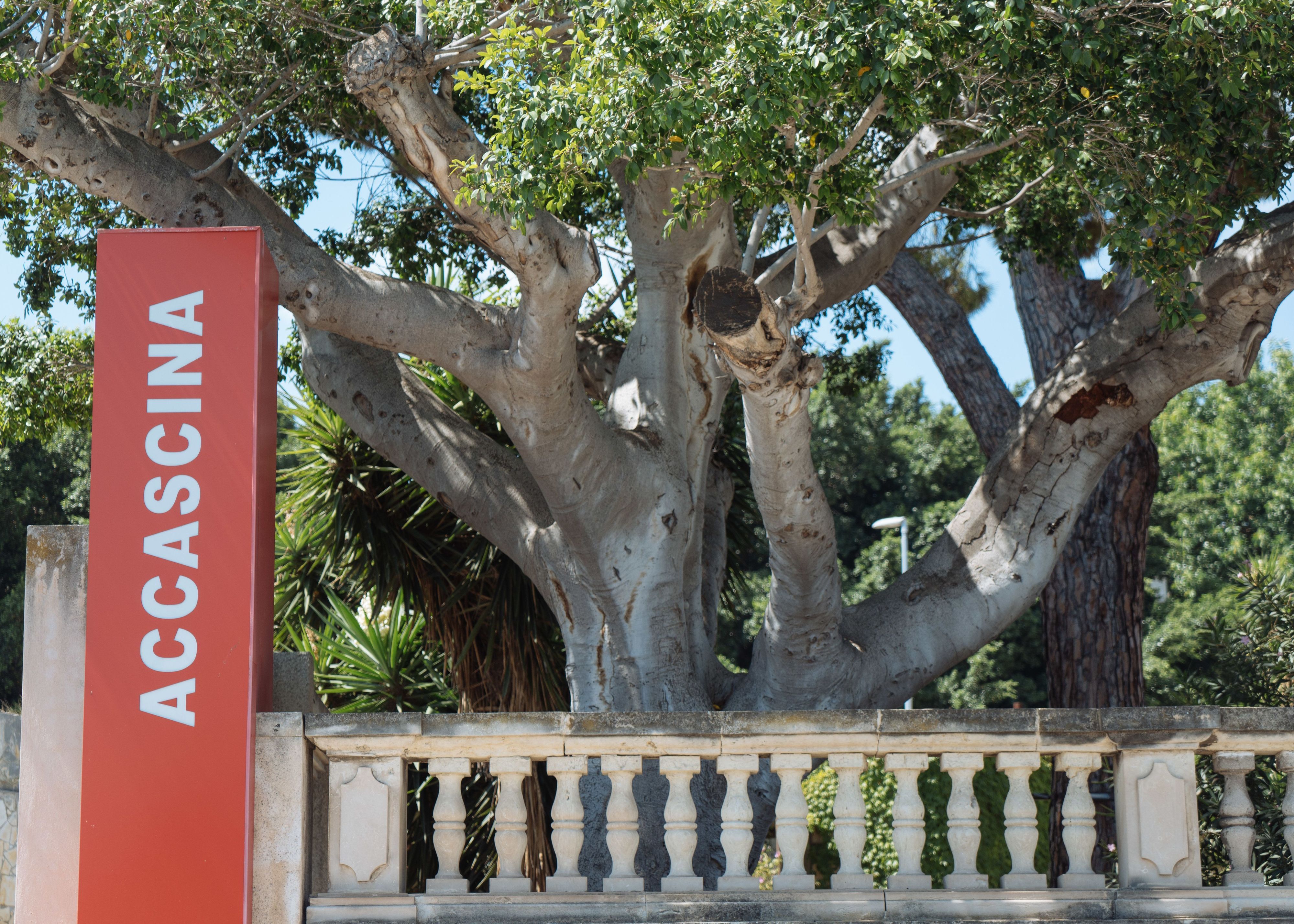 Die Außenansicht und der Eingangsbereich des Regionalmuseums Accascina in Messina.