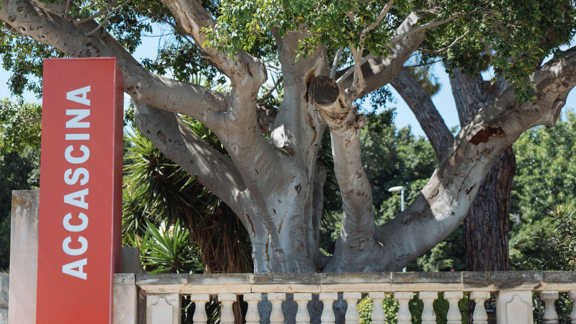 Die Außenansicht und der Eingangsbereich des Regionalmuseums Accascina in Messina.