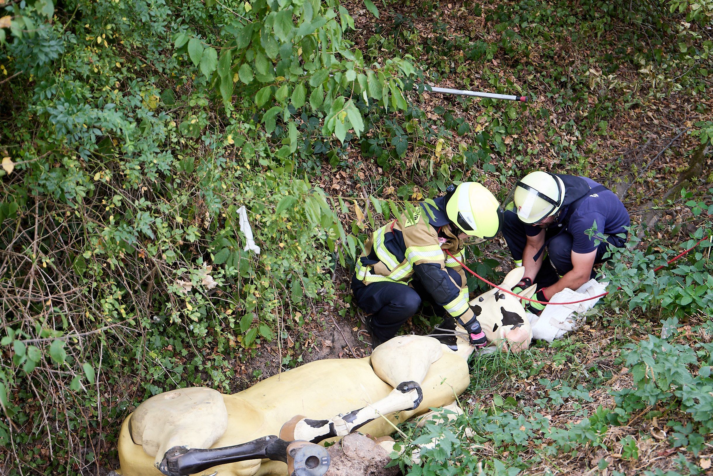 Zwei Feuerwehrleute kümmern sich um den Schutz des Pferdekopfes.