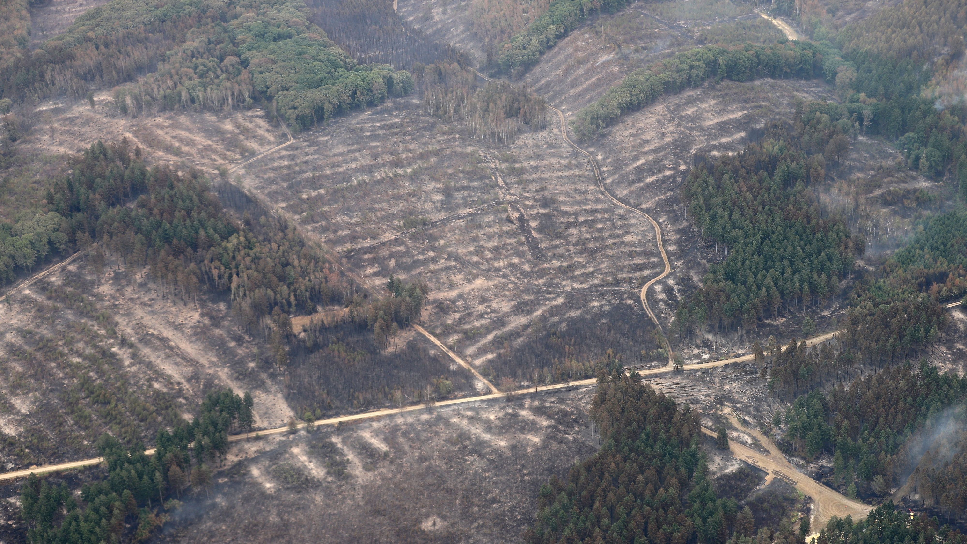 Die Aufnahme aus einem Flugzeug zeigt das Waldbrandgebiet im Hürtgenwald. Mehrere Hundert Hektar Waldfläche brannten ab