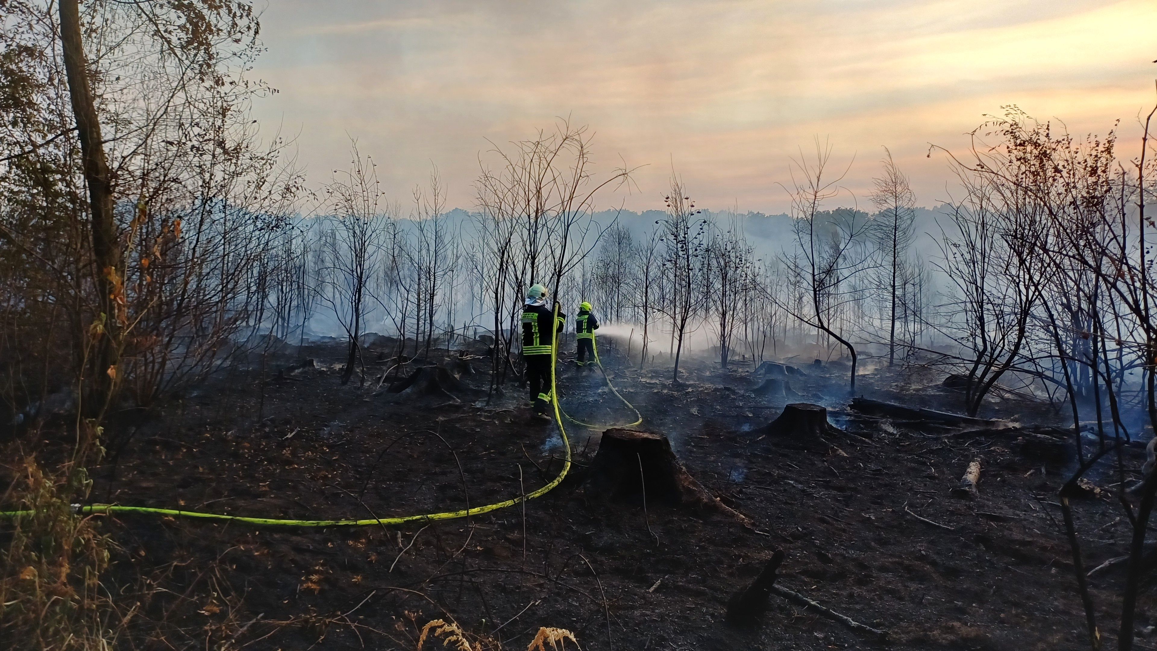 Zwei Feuerwehrleute löschen auf einer verkohlten Waldfläche ein Feuer. Der Abendhimmel leuchtet rot.