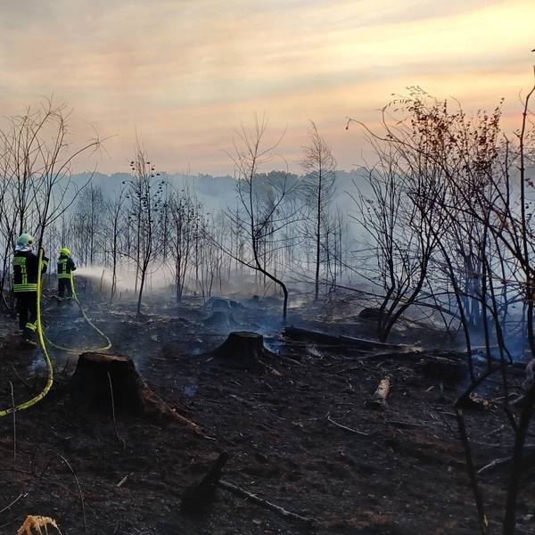 Zwei Feuerwehrleute löschen auf einer verkohlten Waldfläche ein Feuer. Der Abendhimmel leuchtet rot.