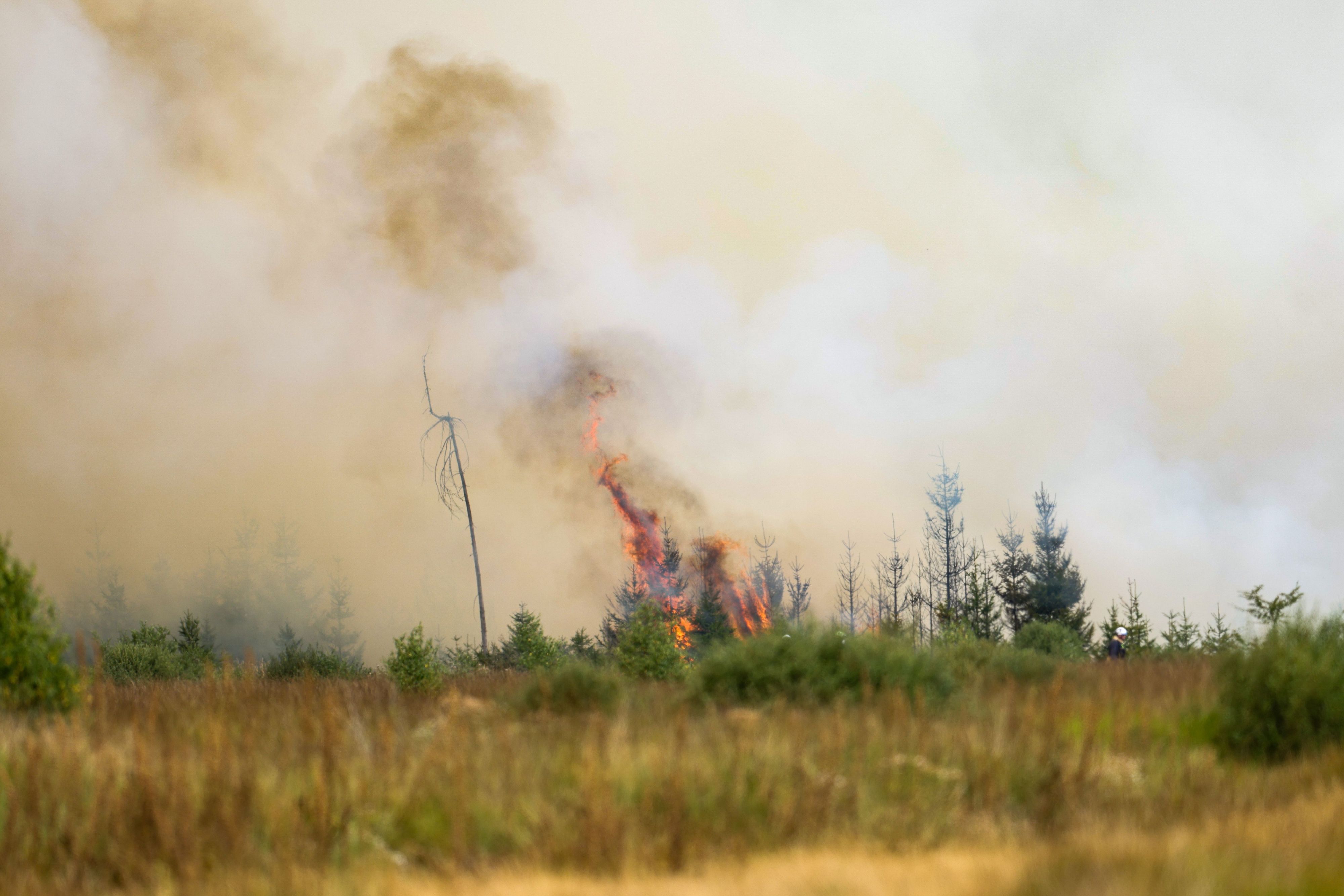 Flammen schlagen hoch in der Hochmoor- und Sumpflandschaft Hohe Venn unweit der deutschen Grenze. Wegen der Ausbreitung eines großen Waldbrandes von Belgien in Richtung Deutschland ist die Lage angespannt.
