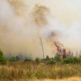 Flammen schlagen hoch in der Hochmoor- und Sumpflandschaft Hohe Venn unweit der deutschen Grenze. Wegen der Ausbreitung eines großen Waldbrandes von Belgien in Richtung Deutschland ist die Lage angespannt.