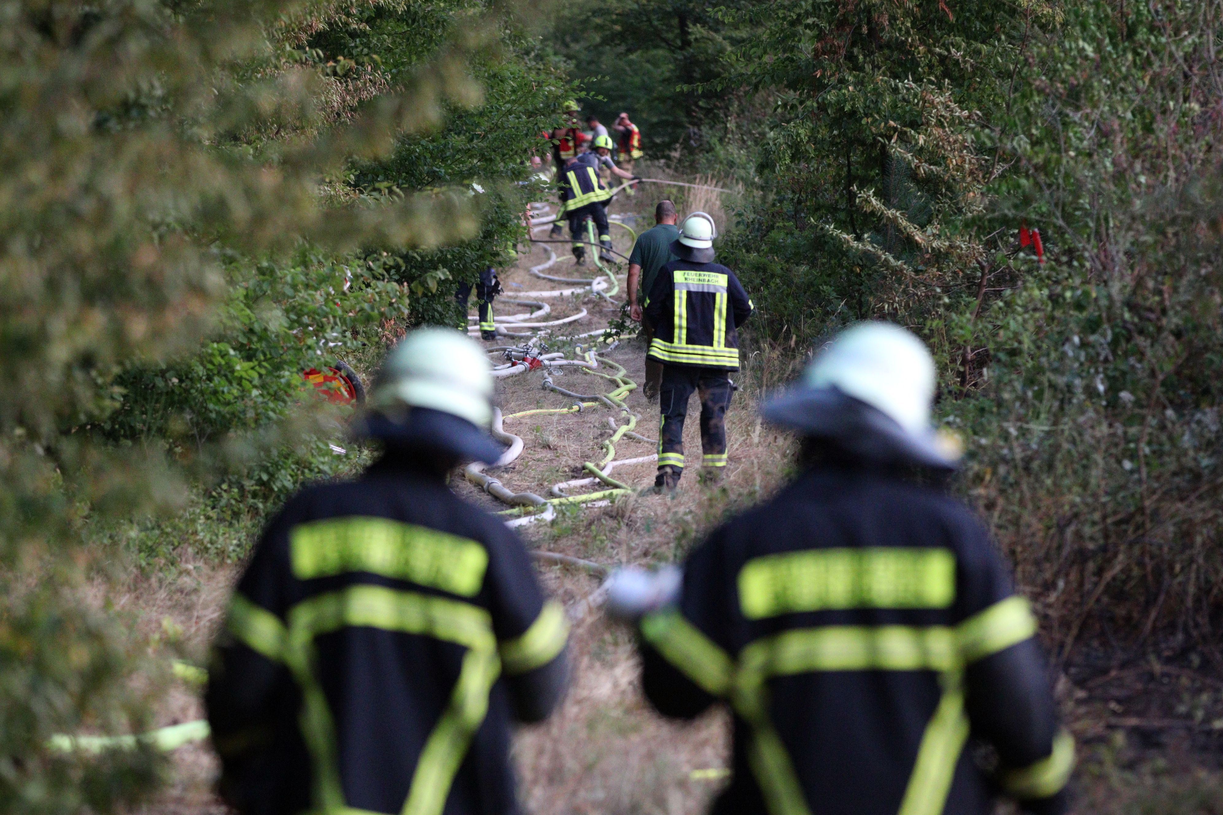 Feuerwehrleute verlegen Schlauchleitungen entlang eines Waldwegs.