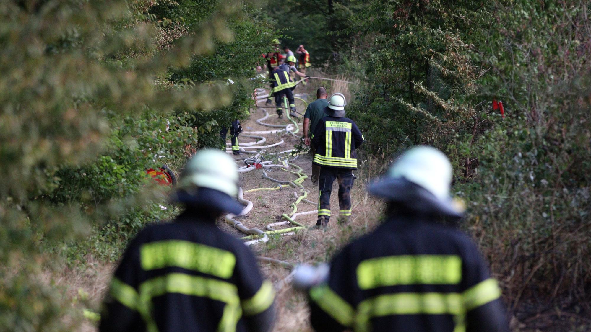 Feuerwehrleute verlegen Schlauchleitungen entlang eines Waldwegs.