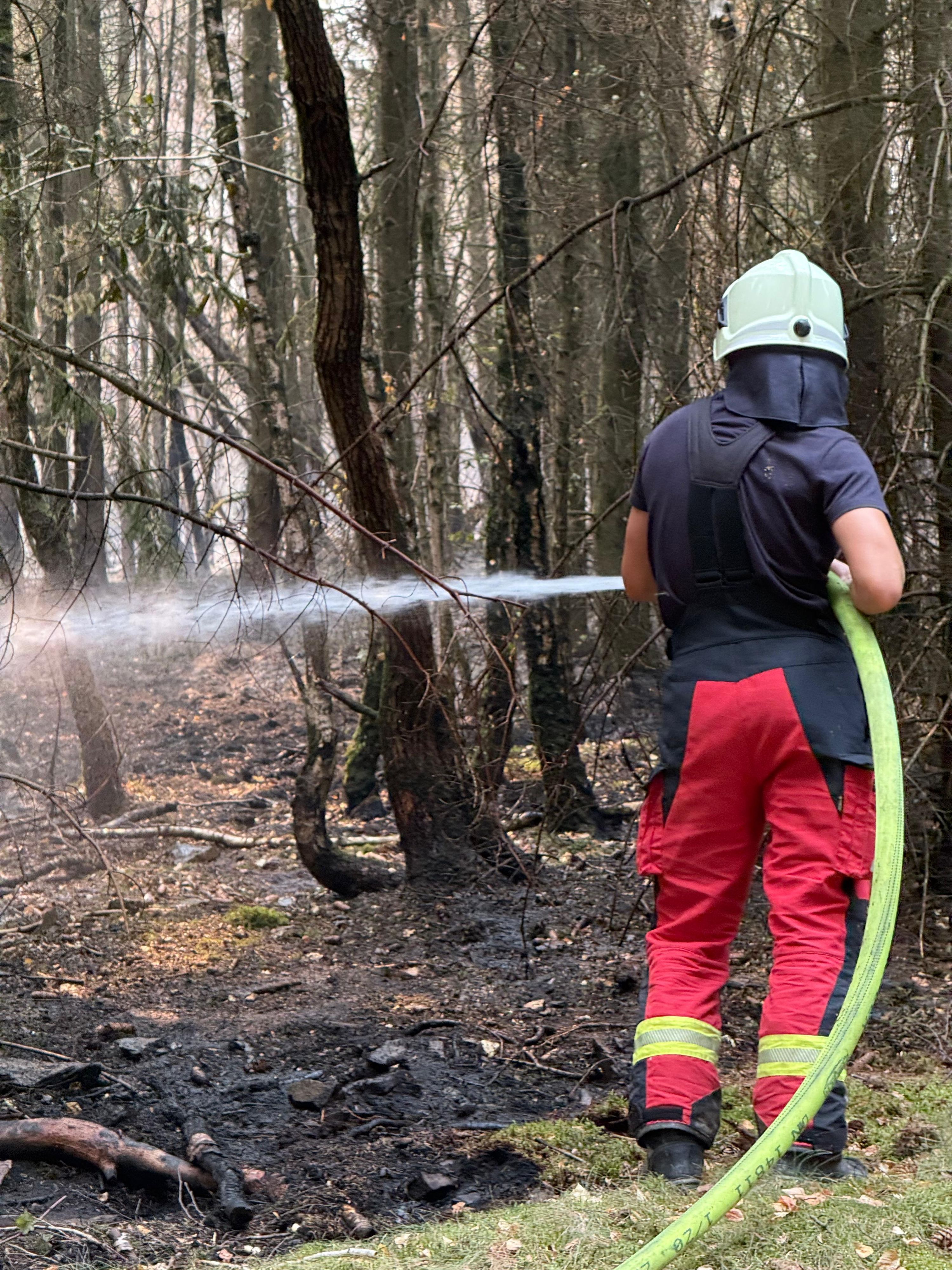 Ein Feuerwehrmann löscht bei einem Waldbrand.