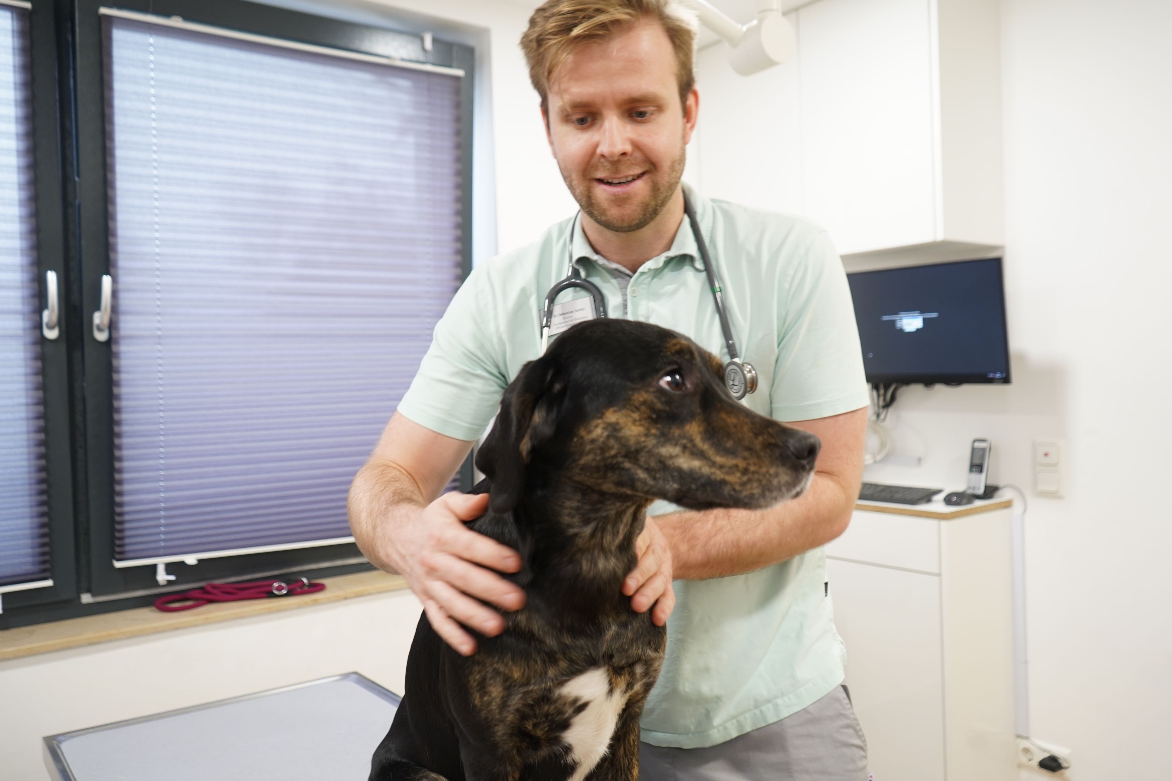 Das Bild zeigt einen Tierarzt mit Hund.