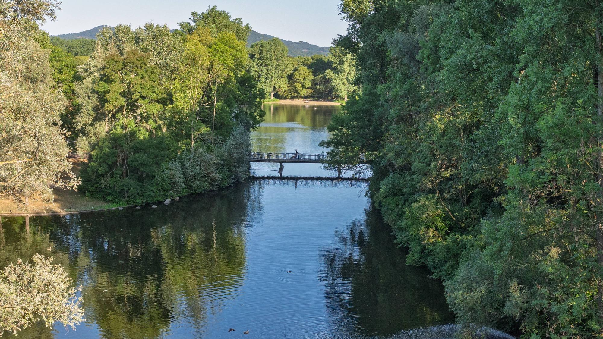 Blick auf die Bonner Rheinaue Ende Juli.