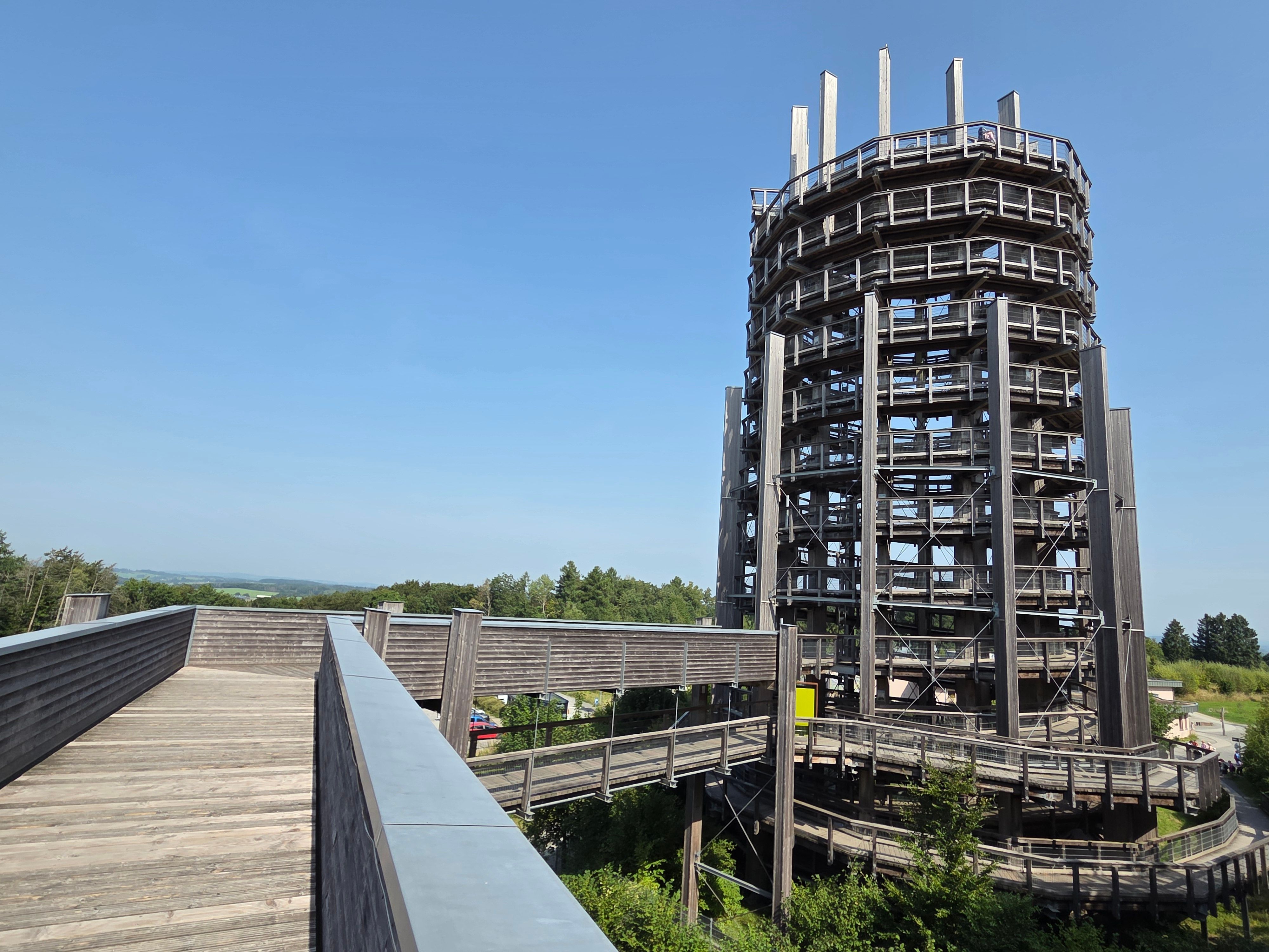 Unterhalb des hölzernen Aussichtsturms im Waldbröler Naturerlebnispark Panarbora werden neue Hochbeete aufgestellt.