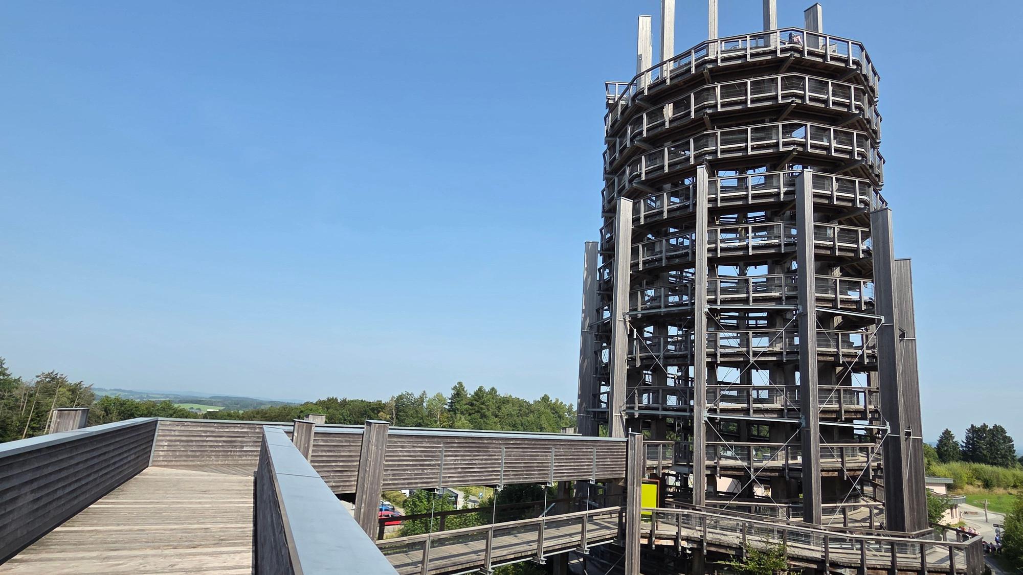 Unterhalb des hölzernen Aussichtsturms im Waldbröler Naturerlebnispark Panarbora werden neue Hochbeete aufgestellt.