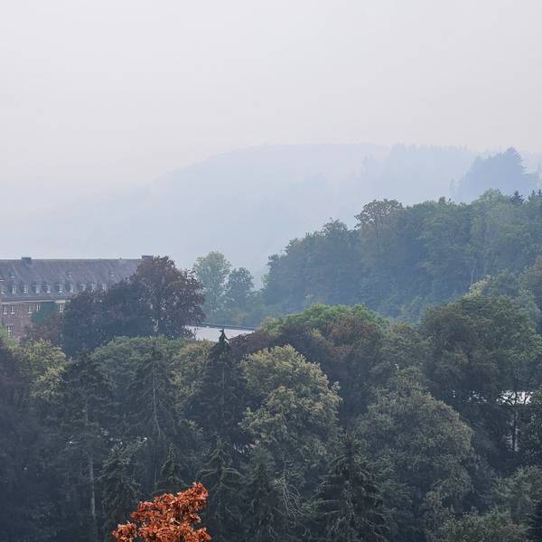 Durch den Brand im Hohen Venn liegt über dem Schleidener Schloss eine Rauchwolke.