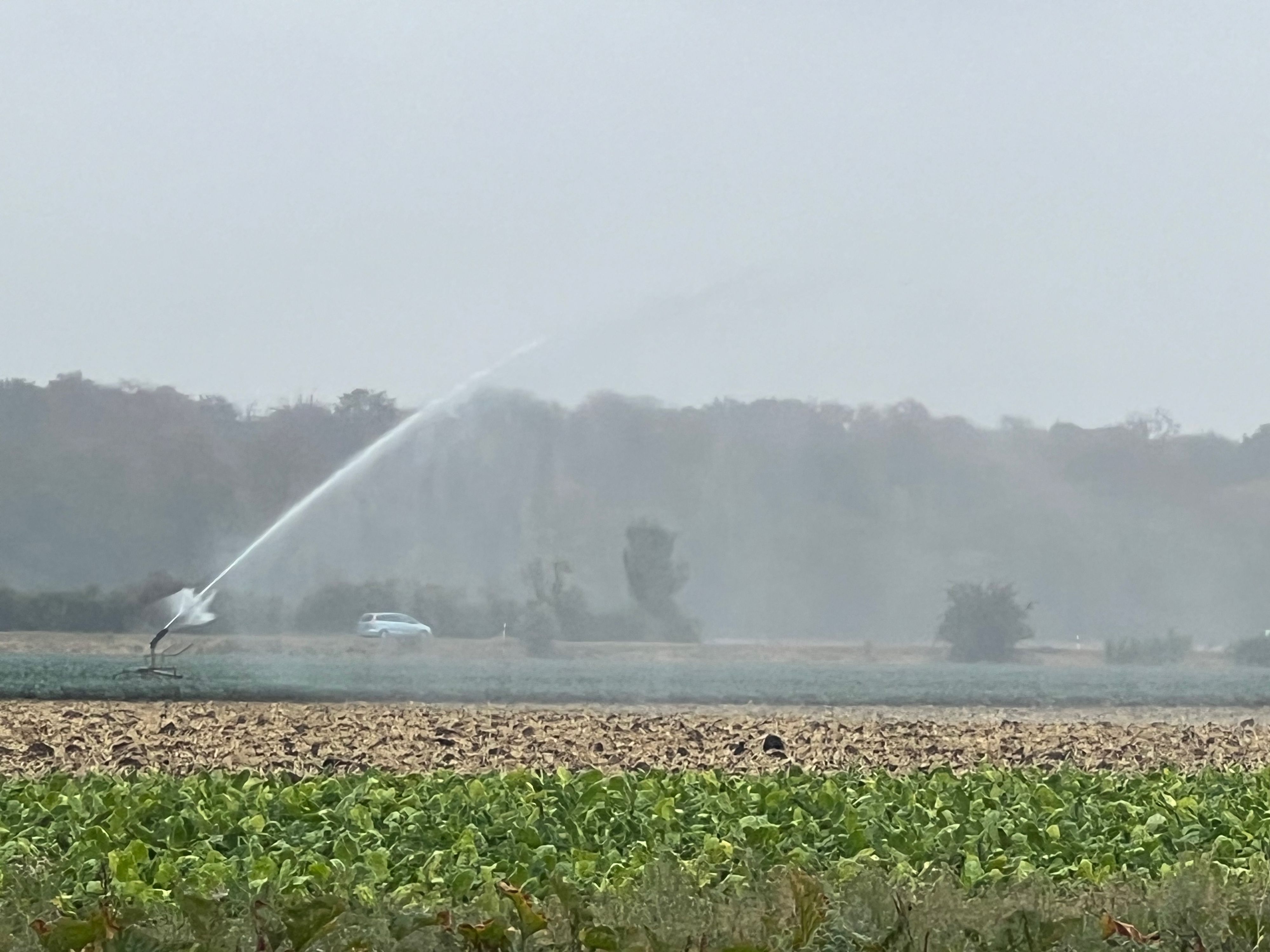 Das Foto zeigt eine Bewässerungsanlage auf einem Feld.