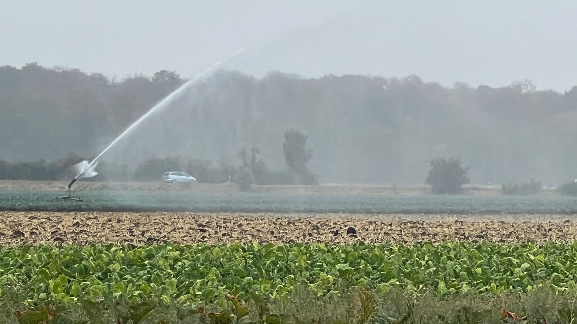 Das Foto zeigt eine Bewässerungsanlage auf einem Feld.