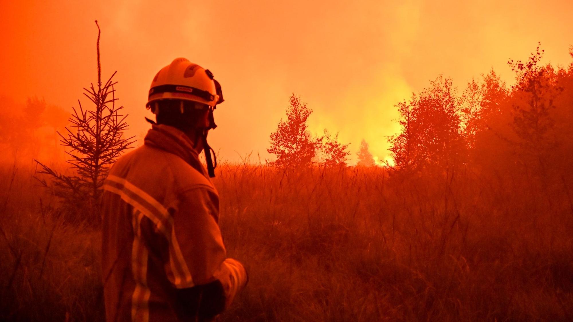 Das von VHP zur Verfügung gestellte Foto zeigt Feuerwehrleute im Einsatz beim Großbrand im Naturschutzgebiet Hohes Venn (Hautes Fagnes).