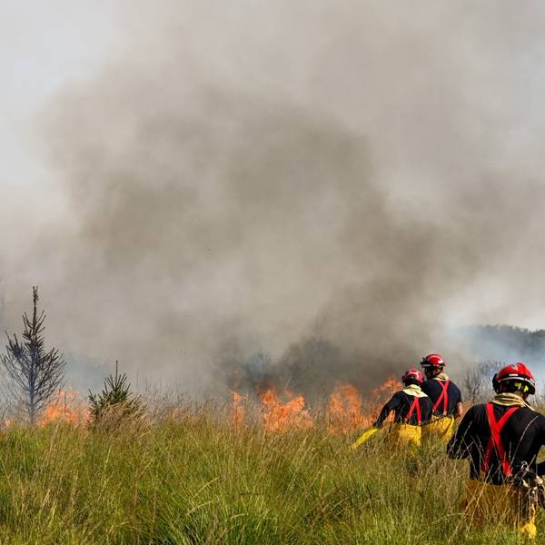Kräfte der belgischen Feuerwehr rücken im Hohen Venn gegen die Flammen an.