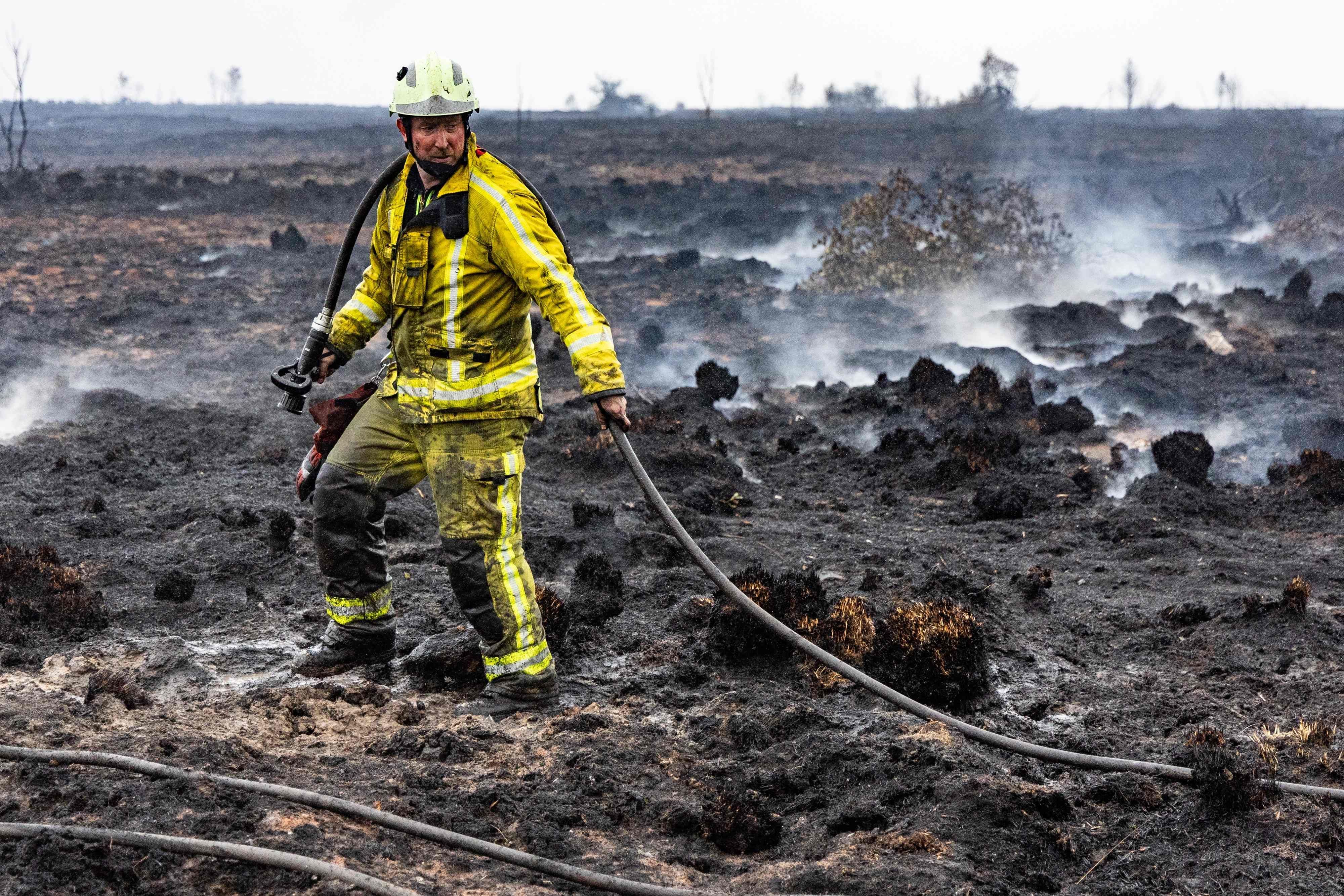 Ein Feuerwehrmann auf einem verbrannten Feld im belgischen Sourbrodt.