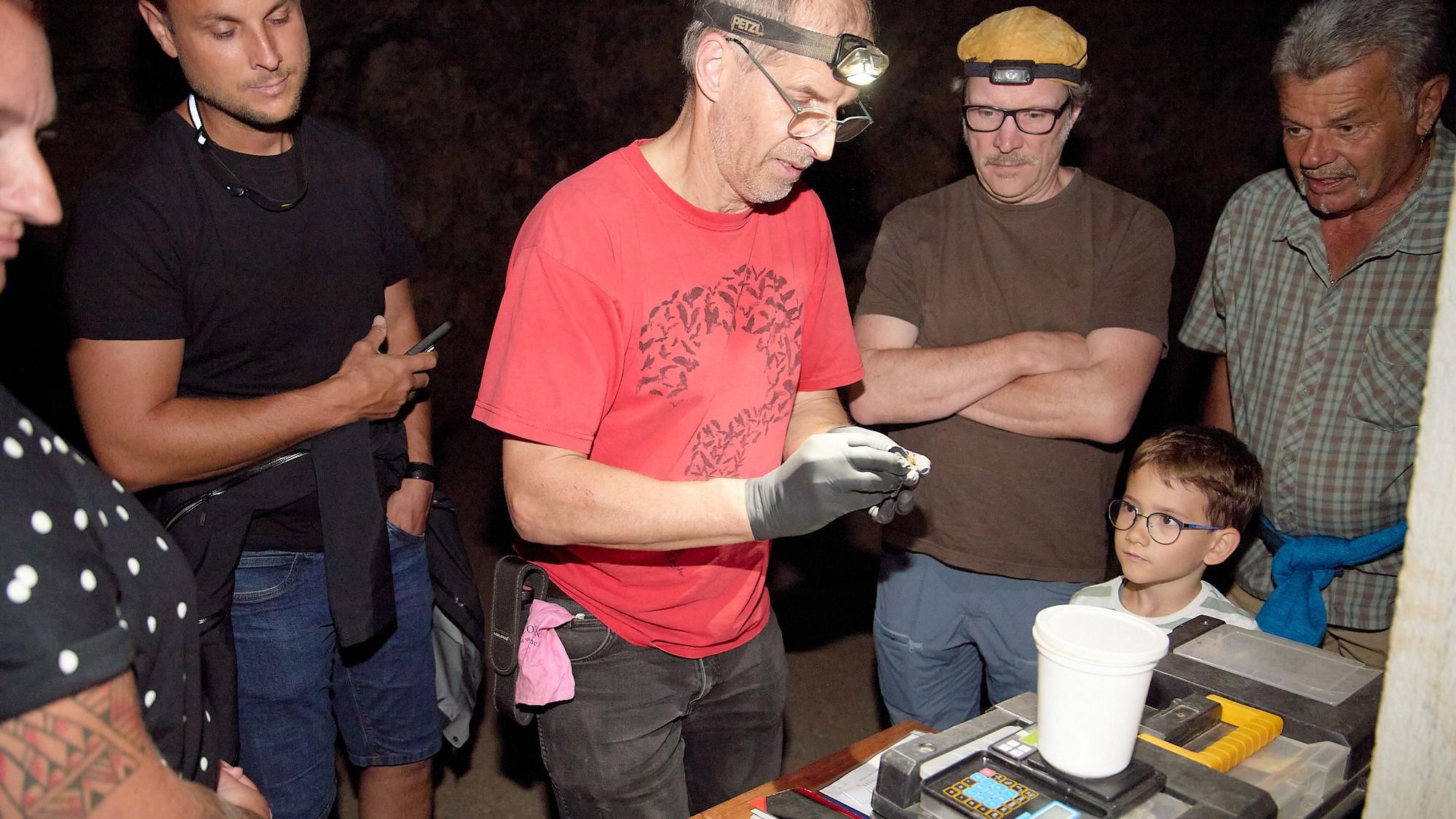 Markus Thies untersucht eine Fledermaus. Mehrere Menschen schauen ihm dabei zu.