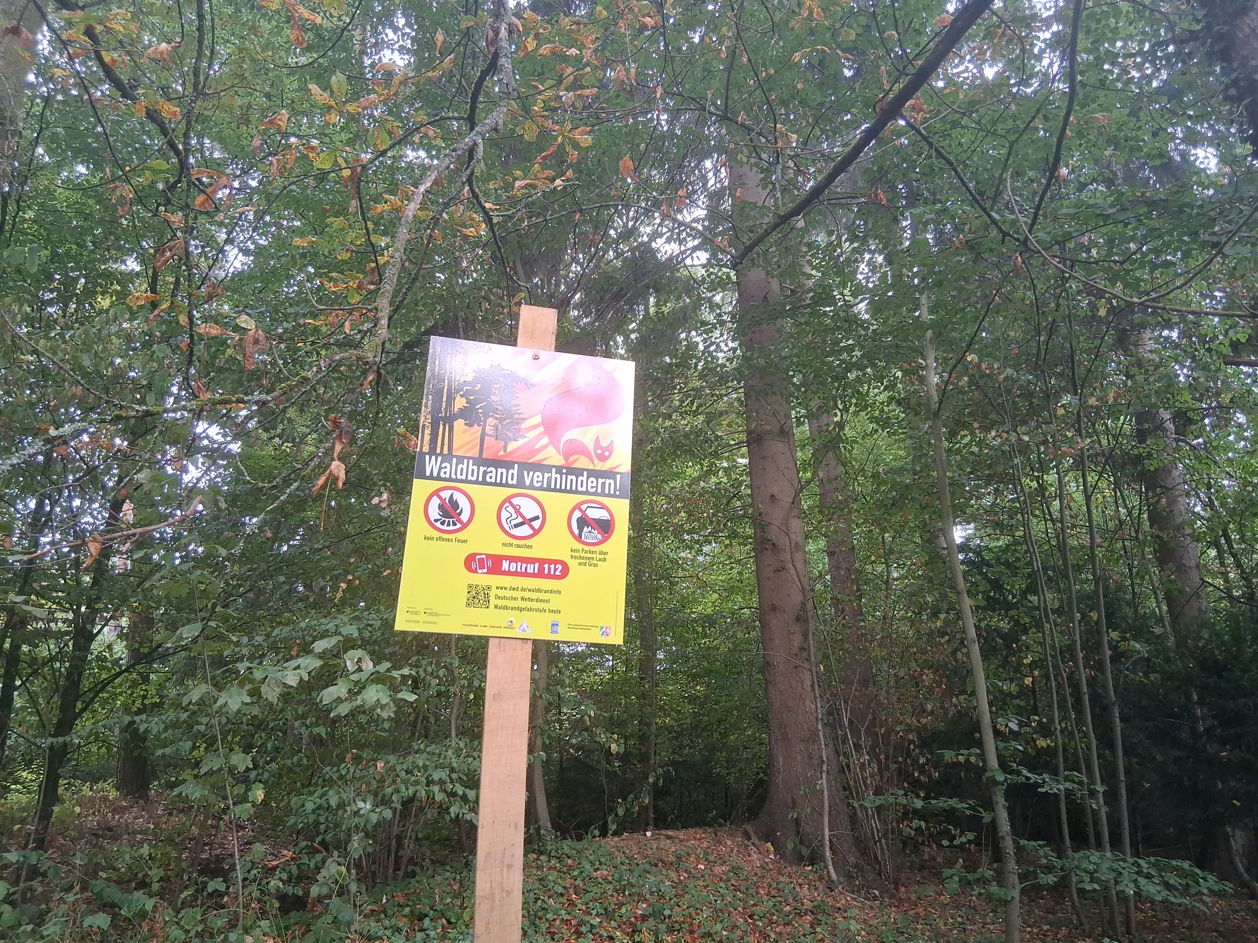 „Waldbrand verhindern!“ steht auf einem Schild im Gierather Wald. Zigaretten und offenes Feuer sind hier verboten.