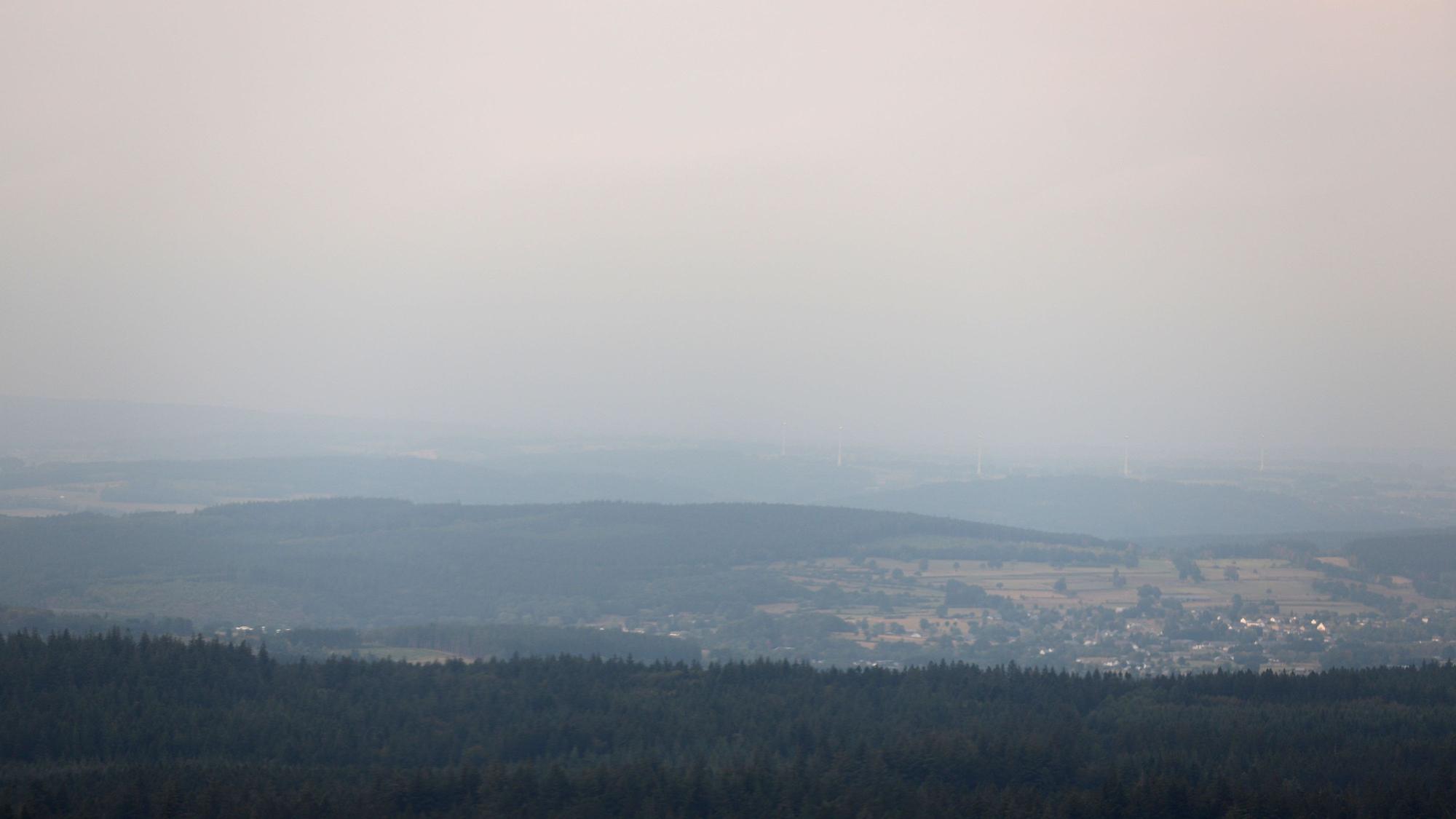 Rauchschwaden des Brandes im Hohen Venn sind von einem Flugzeug aus zu sehen.