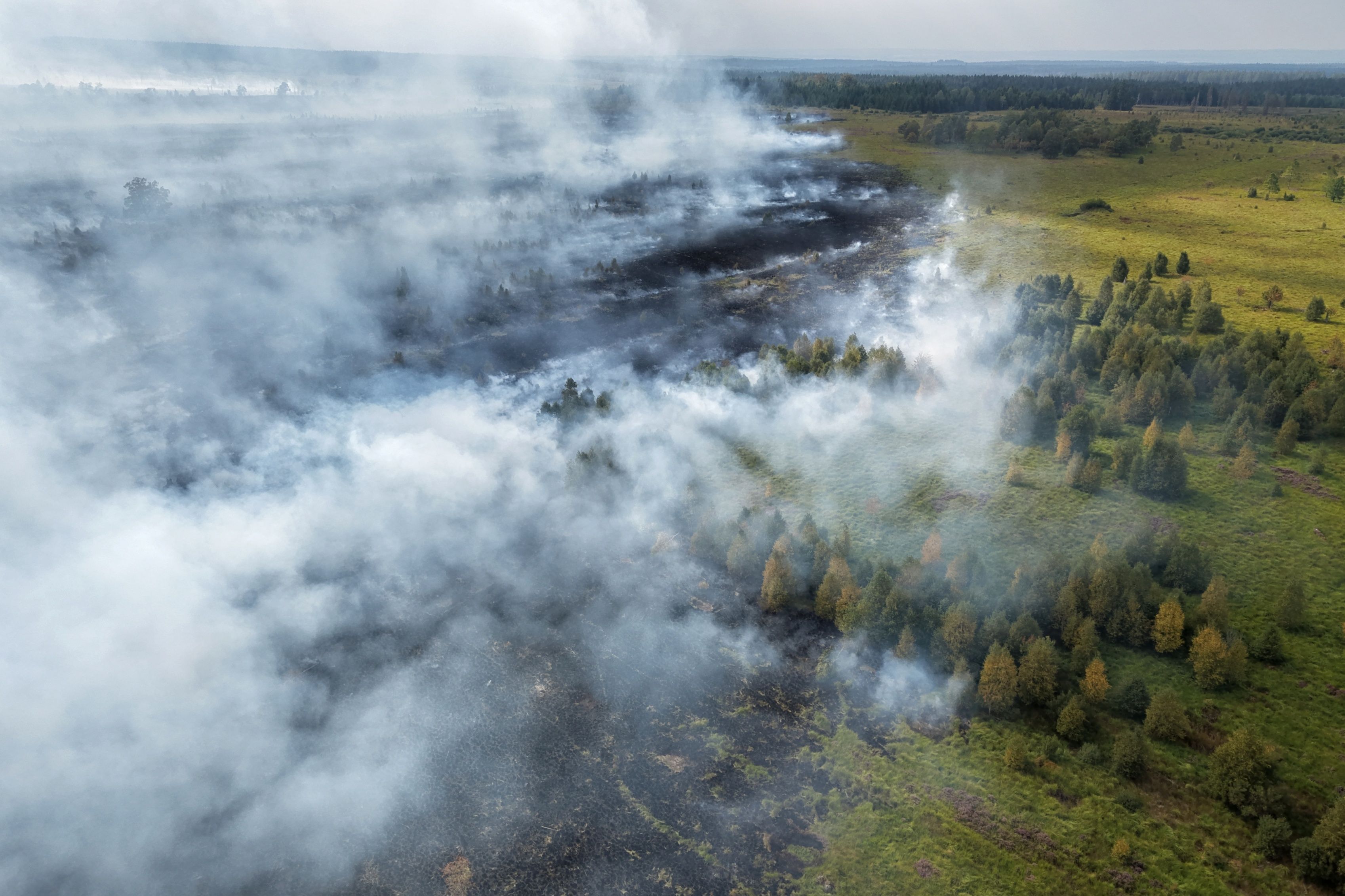 Rauchschwaden ziehen über den großen Waldbrand im Hohen Venn hinweg. (Luftaufnahme mit einer Drohne)