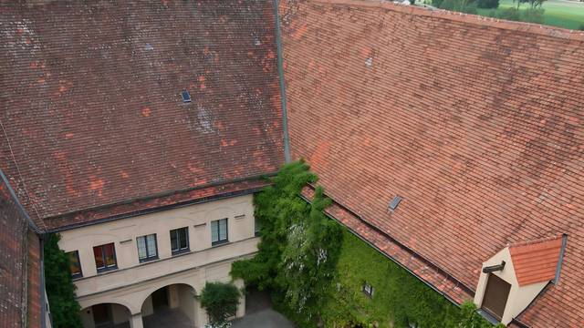 Ein solcher Teppich des Künstlers Thomas Weil soll auf dem Neumarkt ausgerollt werden.