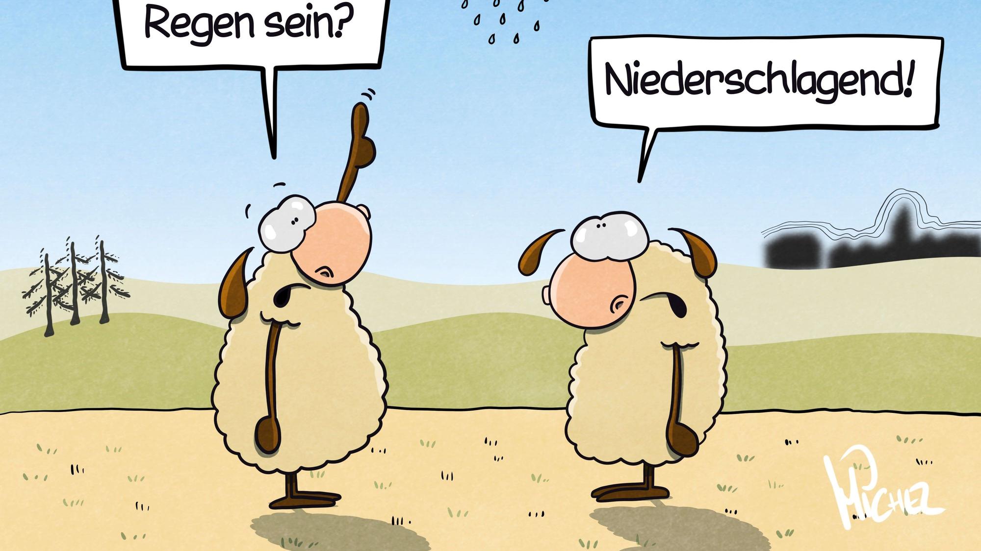 Zwei Schafe stehen auf einer trockenen Wiese. Das eine schaut nach oben in den Himmel, zeigt auf eine dunkle Regenwolke und fragt: „Das soll der angekündigte Regen sein?“ Das andere Schaf antwortet: „Niederschlagend!“