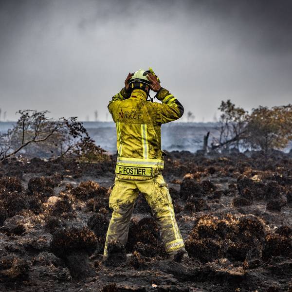 Ein Feuerwehrmann steht auf der verkohlten Erde eines Waldbrandes.
