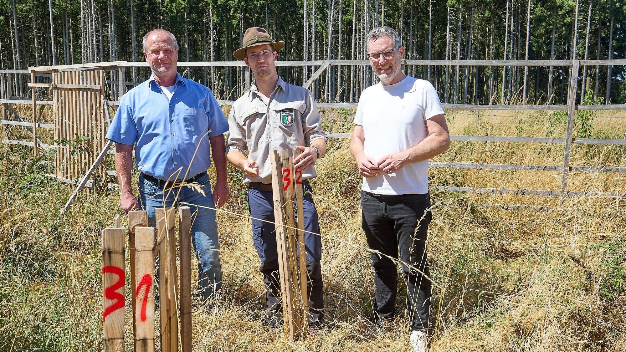 Die drei Obengenannten stehen vor einem Wildschutzgatter, vor ihnen sind Konstruktionen aus Holz zu sehen, die ebenfalls junge Bäume vor Verbiss schützen sollen.