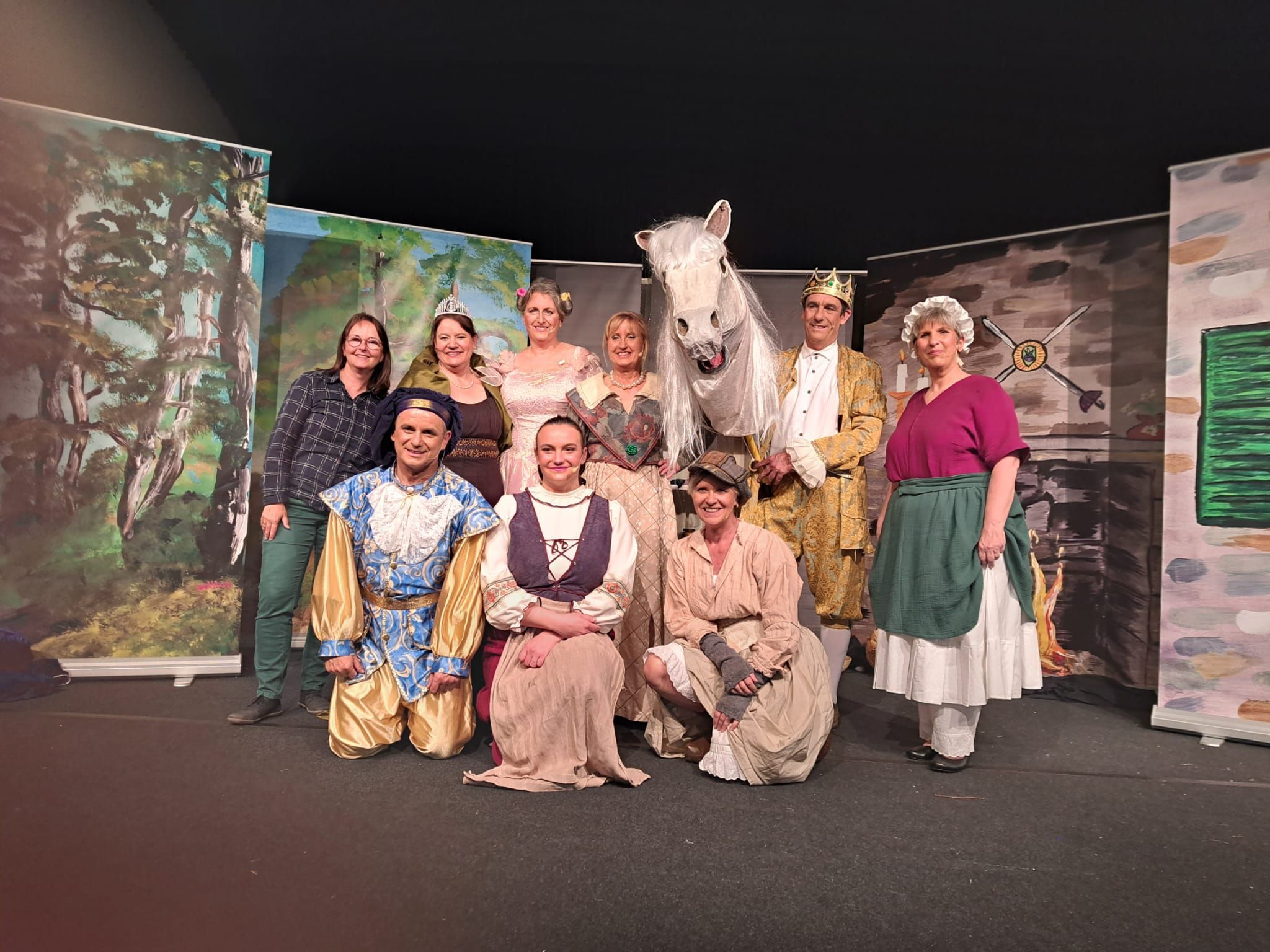 Zu sehen ist das Ensemble der Theatergruppe „bühnenreif“.