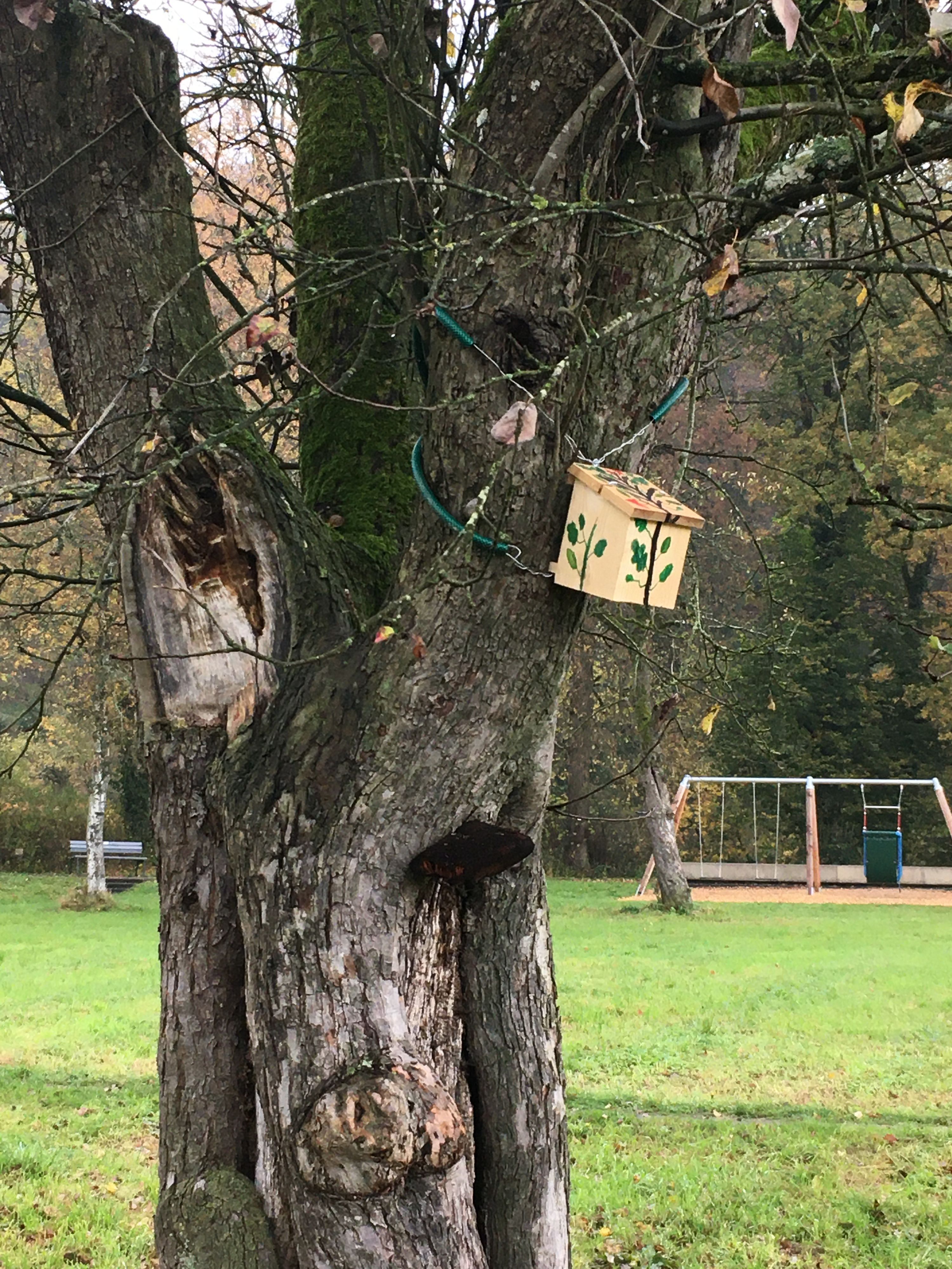 Zu sehen ist ein Vogelhäuschen an einem dicken Baumstamm in einem Park.