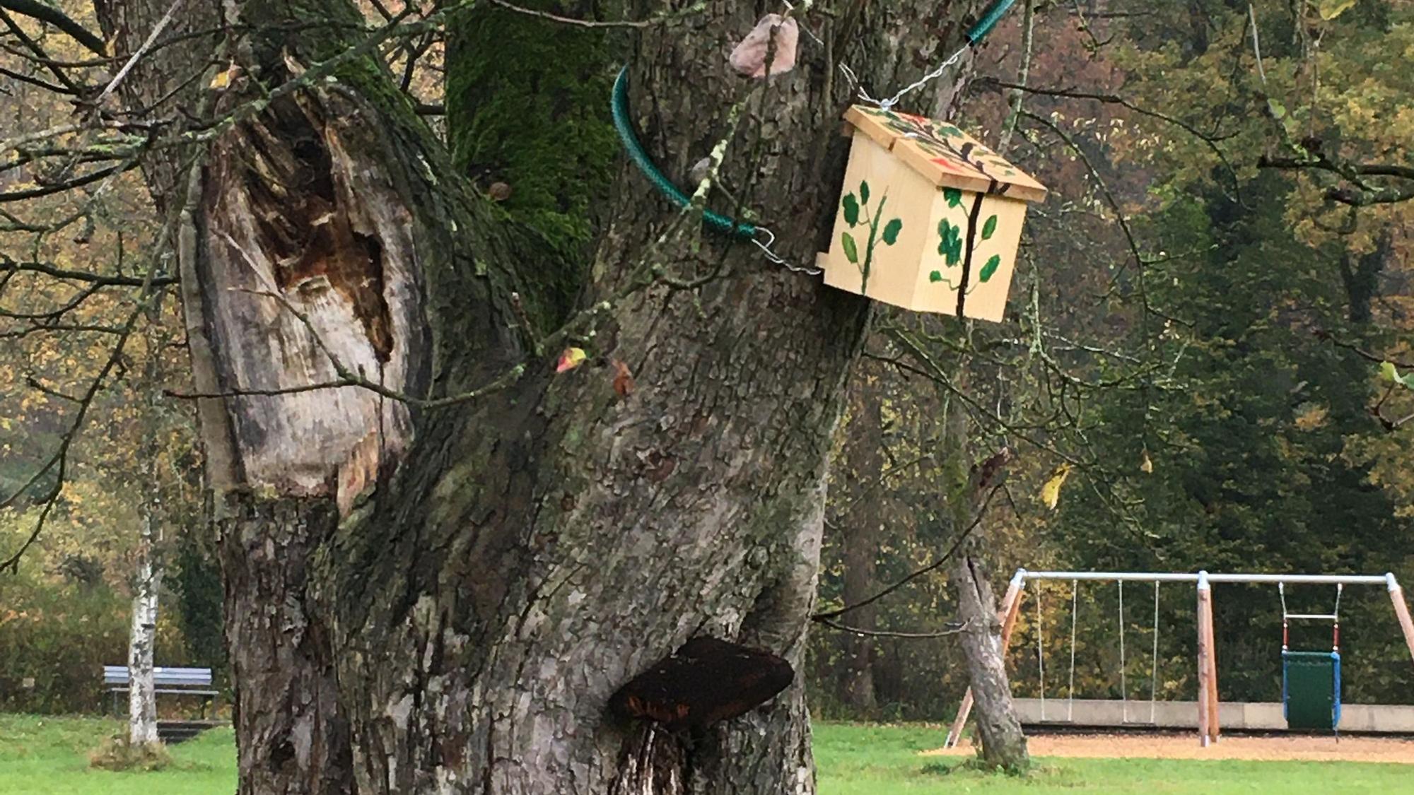 Zu sehen ist ein Vogelhäuschen an einem dicken Baumstamm in einem Park.